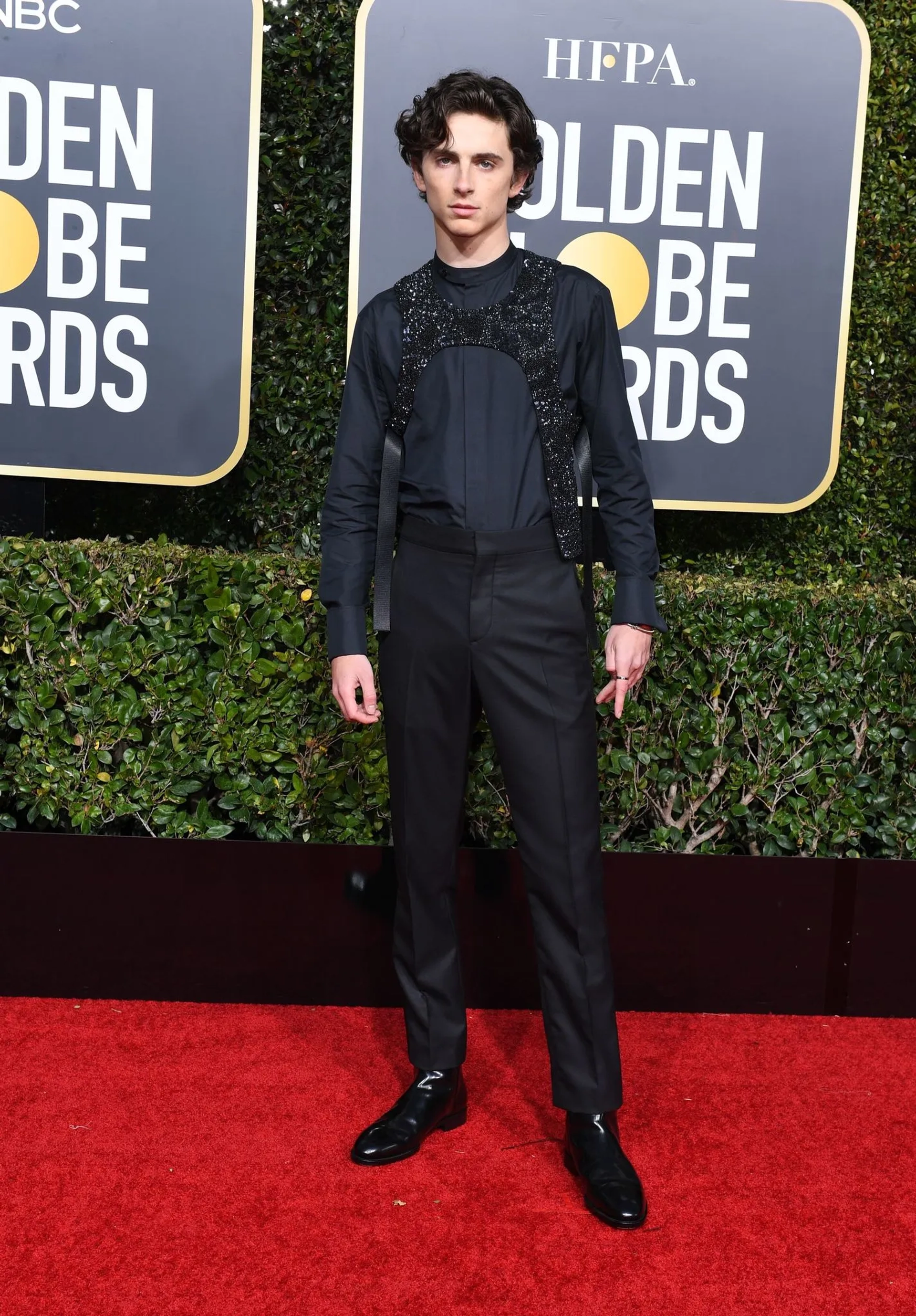 Timothée Chalamet at an event for 2019 Golden Globe Awards (2019)