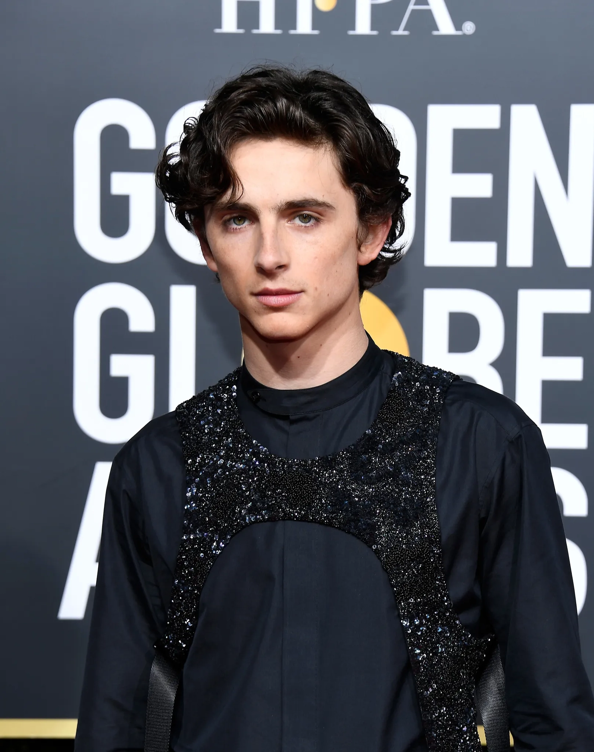 Timothée Chalamet at an event for 2019 Golden Globe Awards (2019)