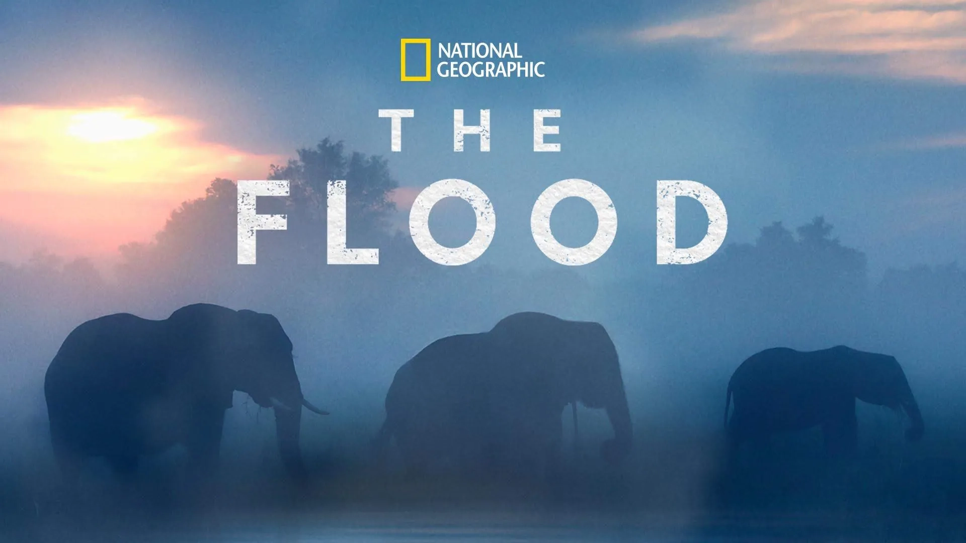مستند سیل (The Flood 2018)