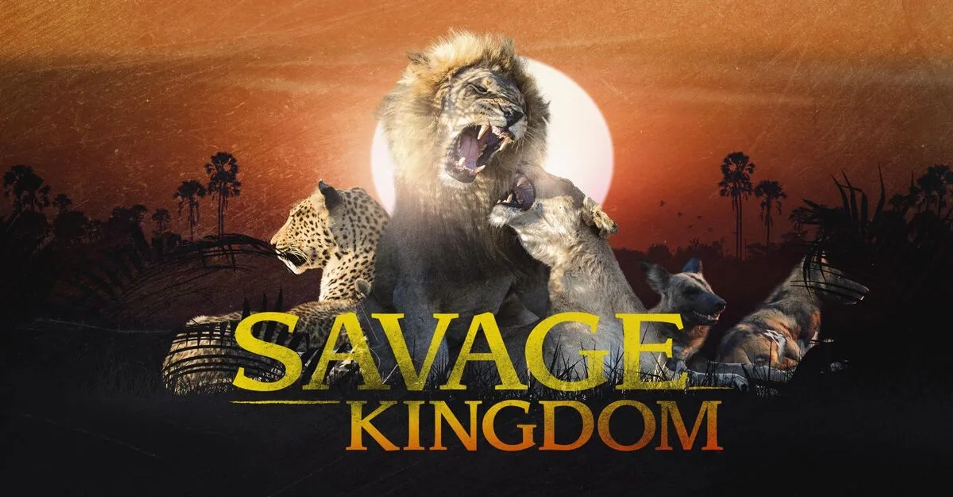 مستند پادشاهی وحشی (Savage Kingdom 2016)
