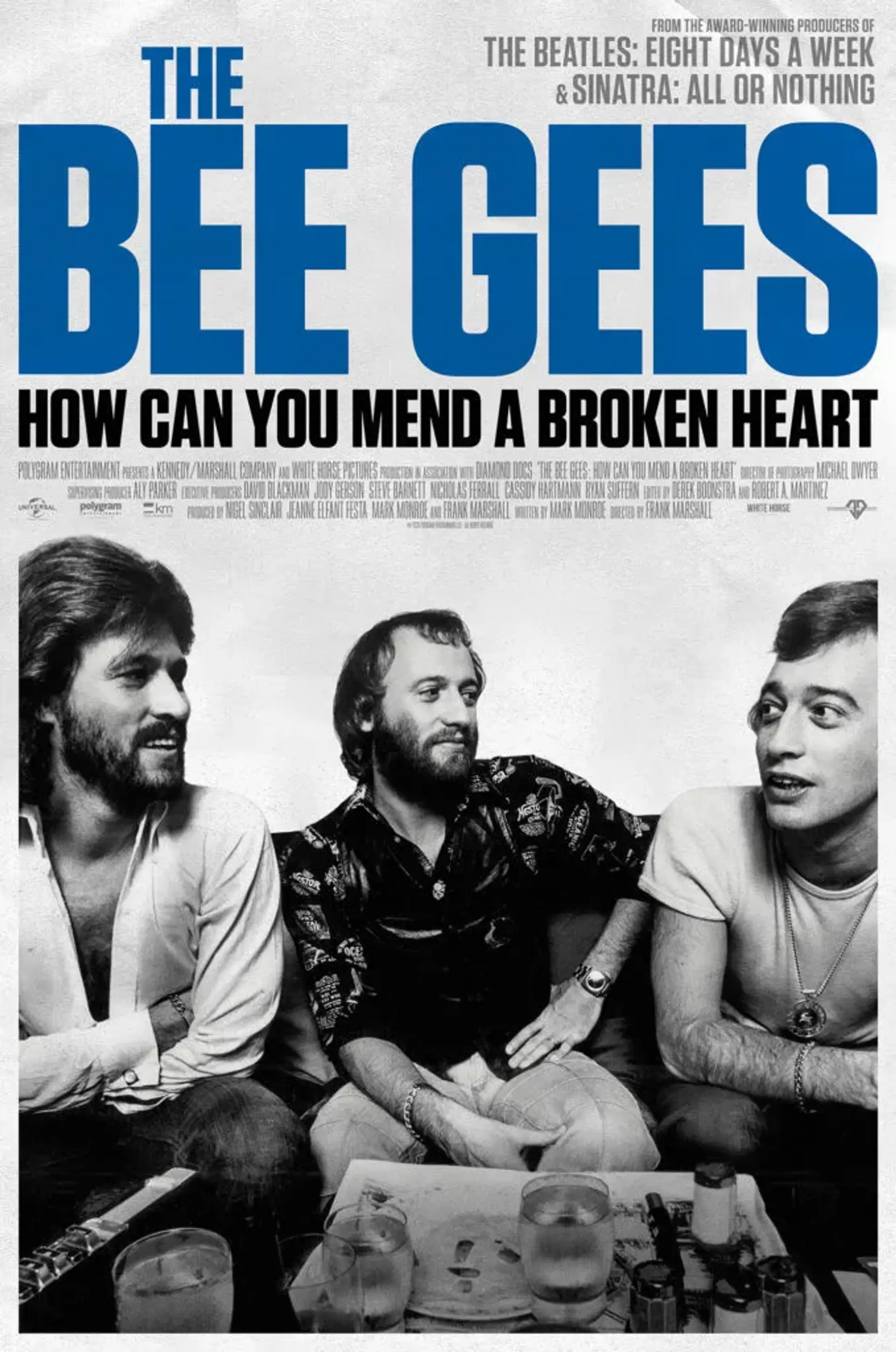 مستند بی جیز: چگونه می توانید یک قلب شکسته را التیام ببخشید (The Bee Gees: How Can You Mend a Broken Heart 2020)