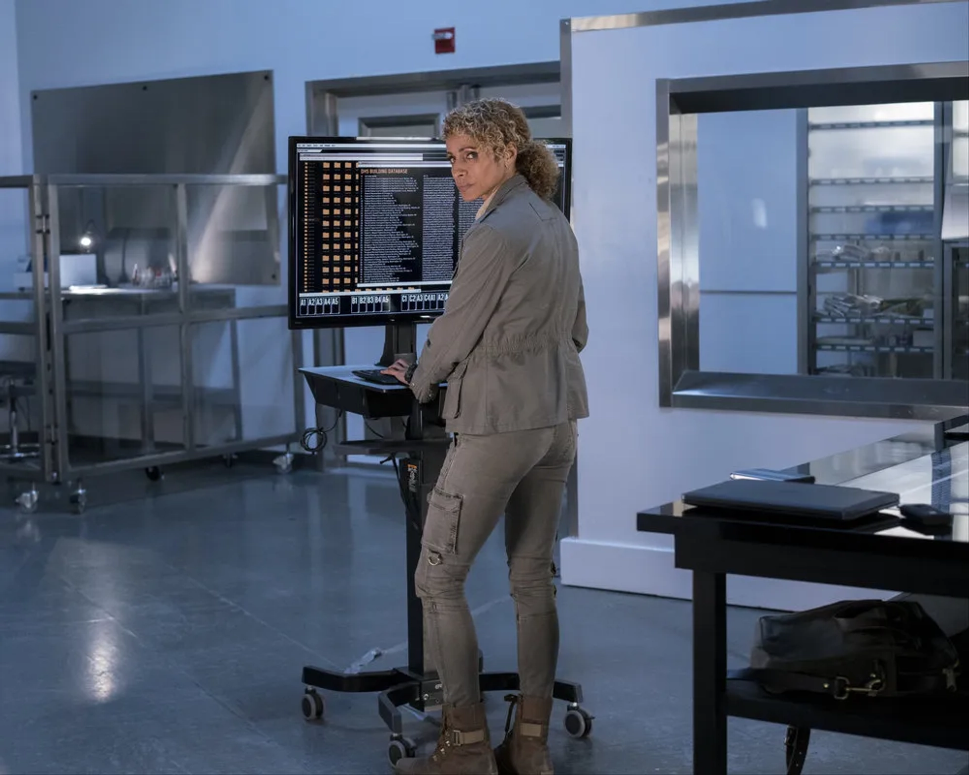 Michelle Hurd in Blindspot (2015)