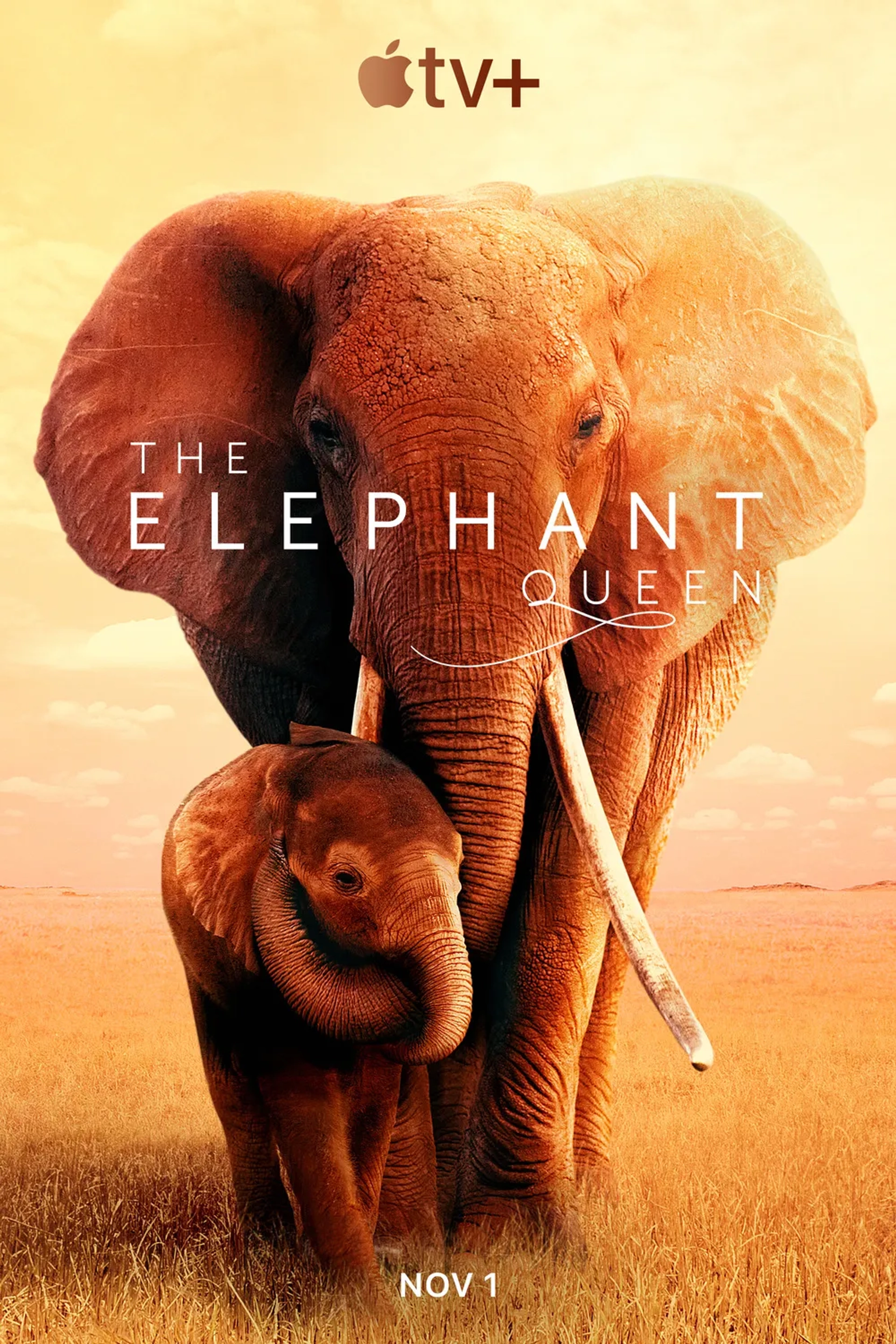 مستند ملکه فیل (The Elephant Queen 2018)