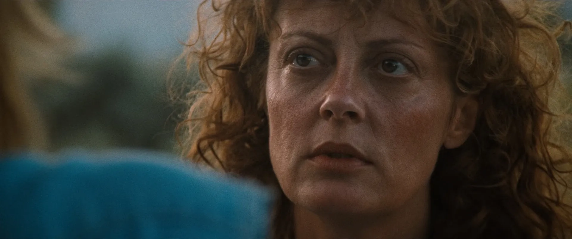 Susan Sarandon in Thelma & Louise (1991)