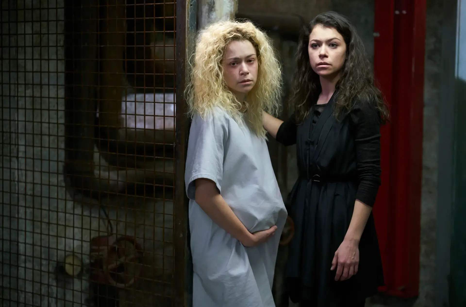 سریال یتیم سیاه (Orphan Black 2013)