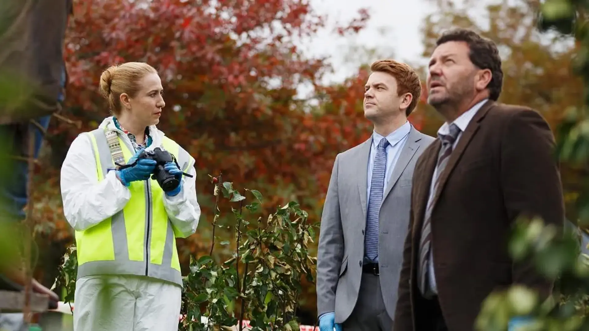 سریال اسرار بروکن وود 2014 (The Brokenwood Mysteries 2014)