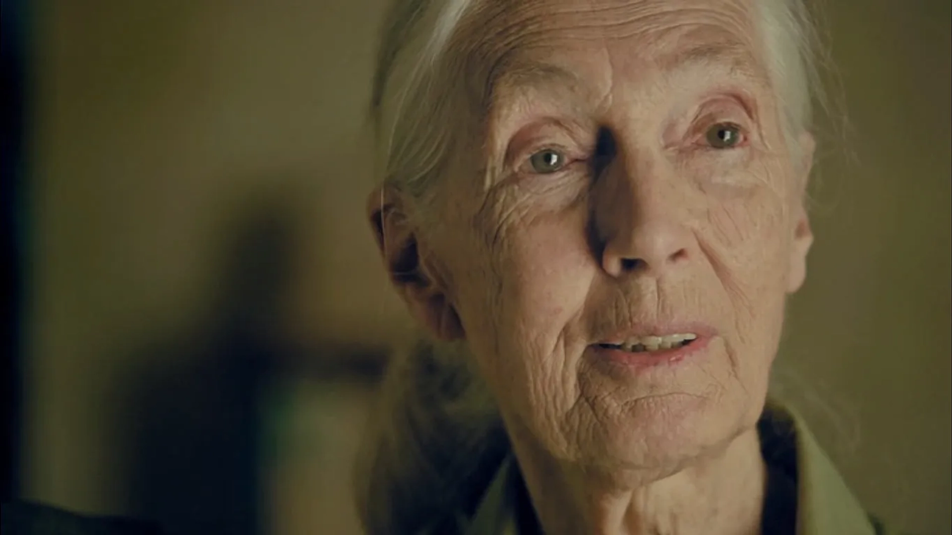 Jane Goodall in Jane (2017)