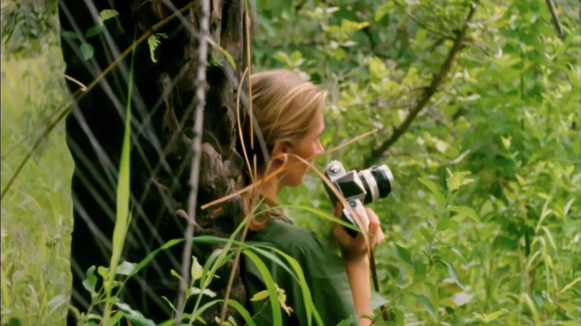 Jane Goodall in Jane (2017)