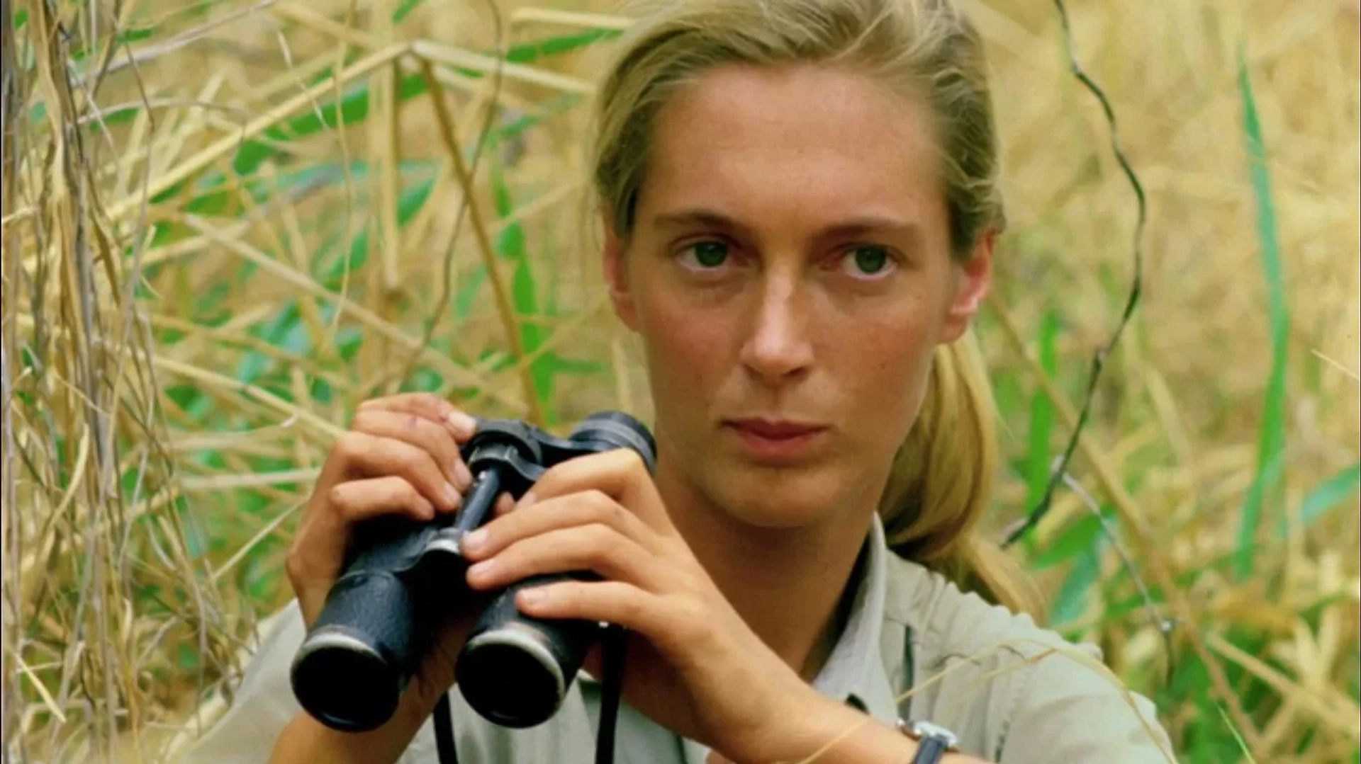 Jane Goodall in Jane (2017)