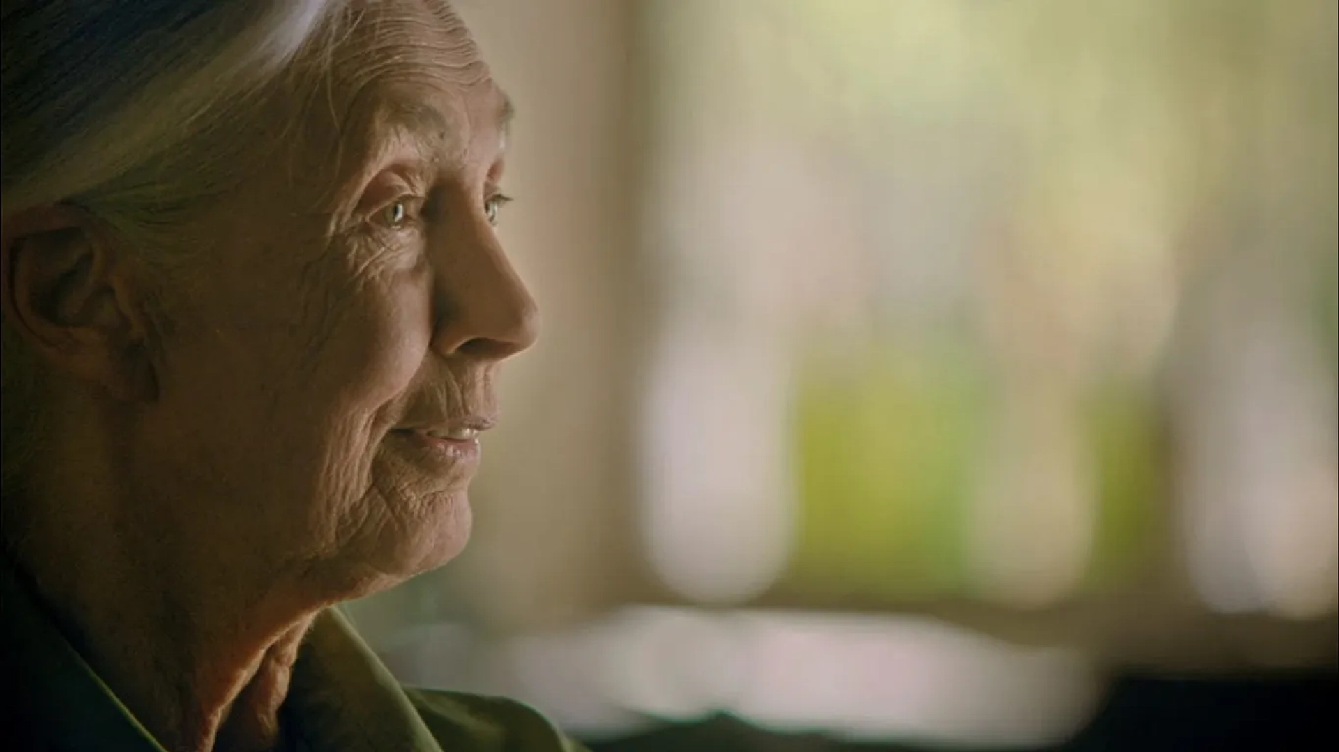 Jane Goodall in Jane (2017)