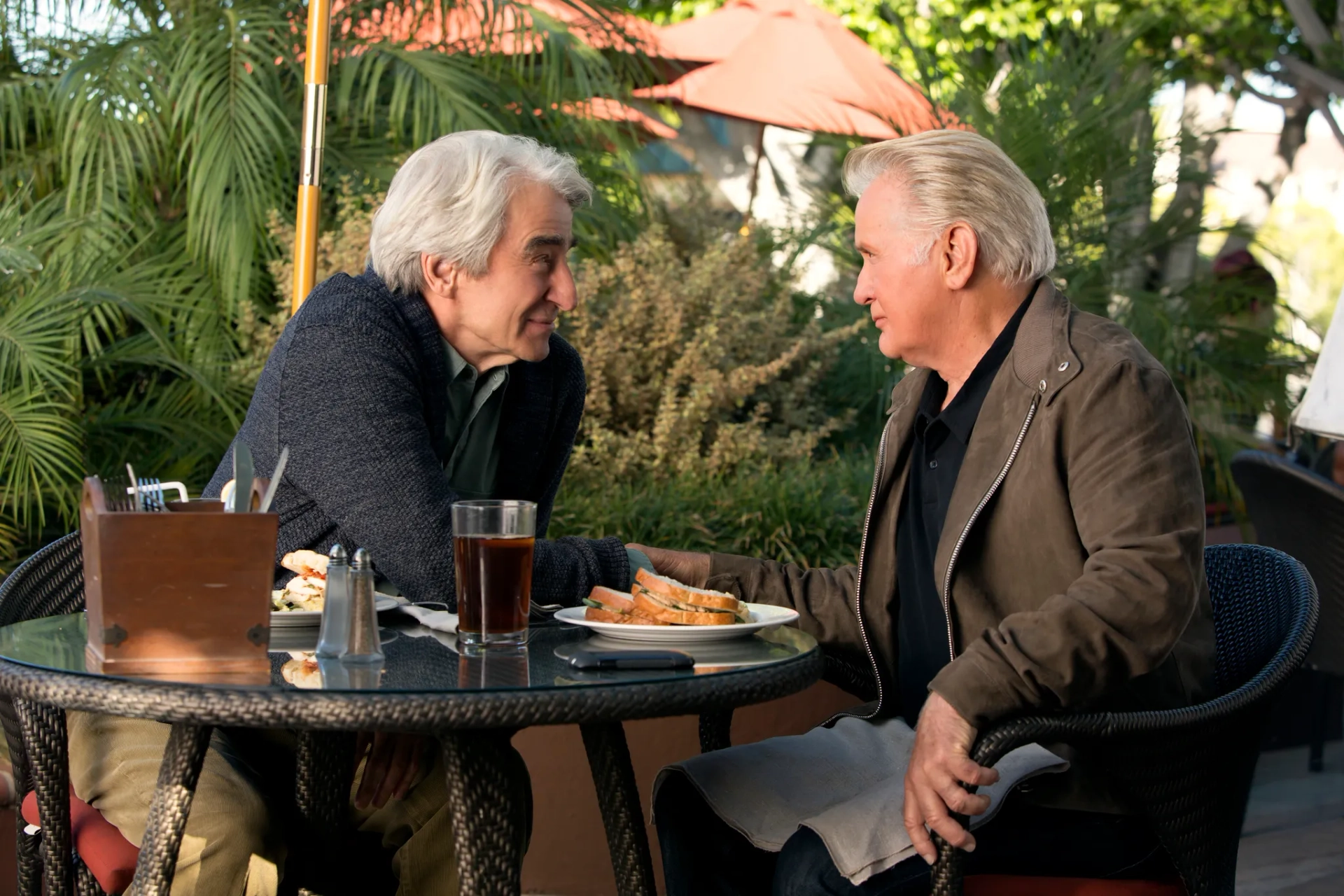 Martin Sheen and Sam Waterston in Grace and Frankie (2015)