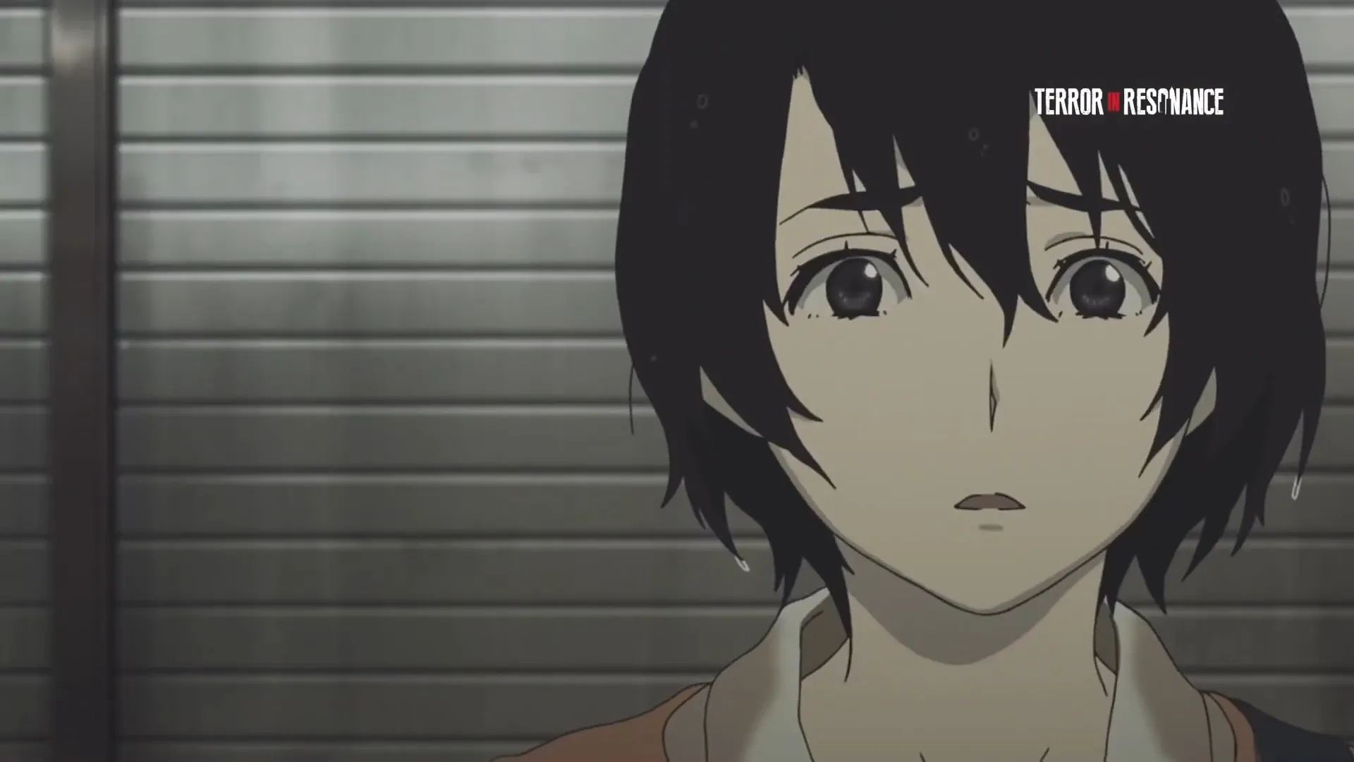 انیمه ترور در رزونانس 2014 (Terror in Resonance 2014)