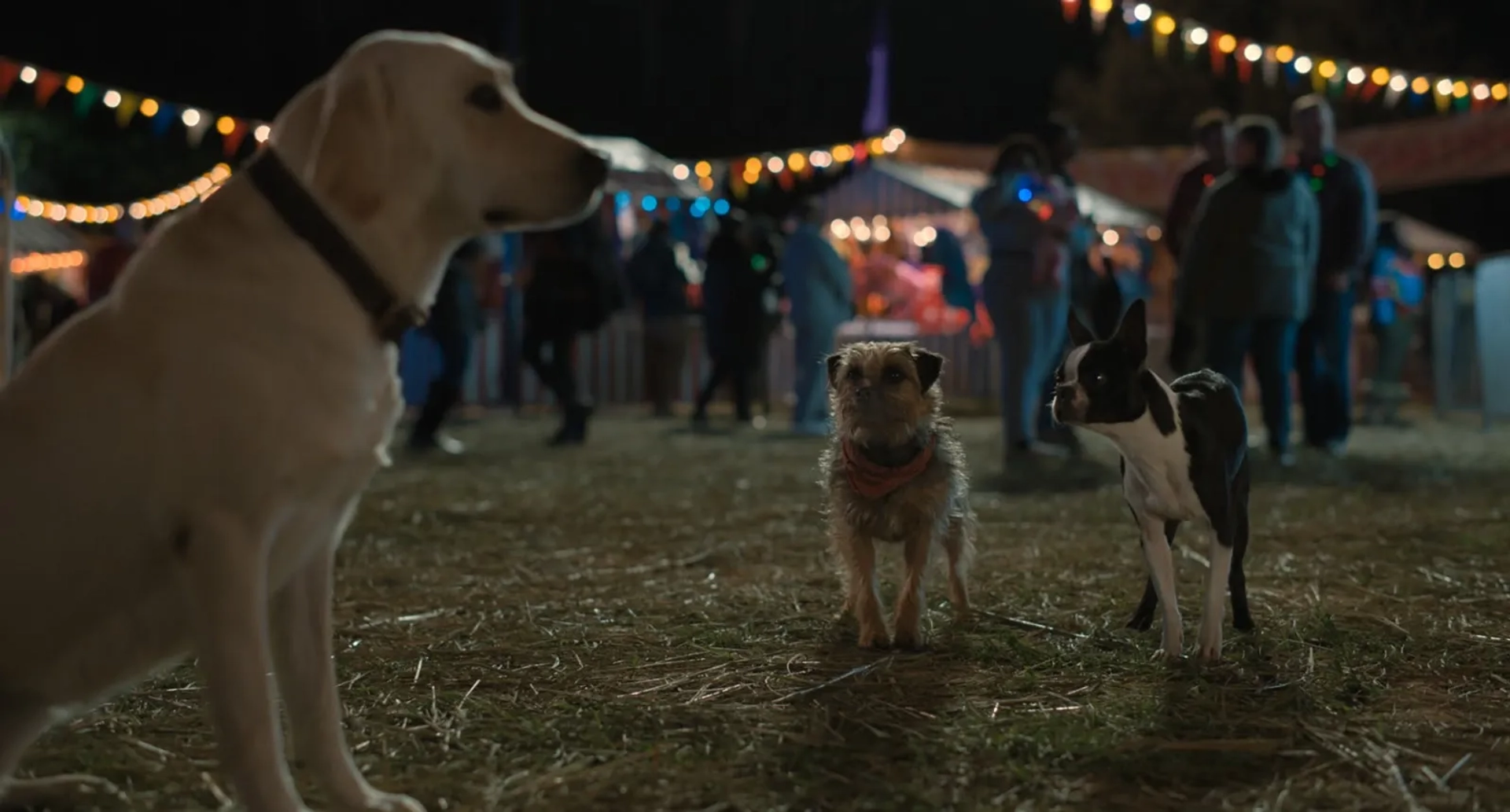 Will Ferrell and Jamie Foxx in Strays (2023)