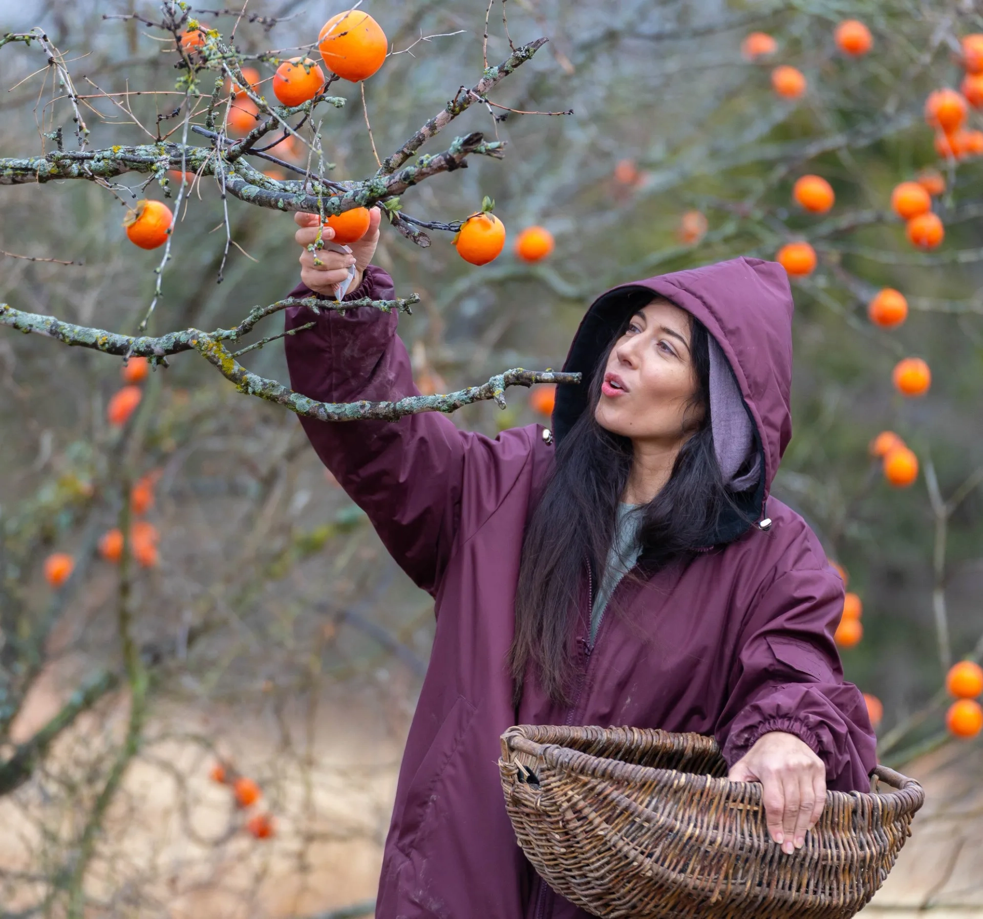 Elizabeth Tabish in The Chosen: Spirit (2021)