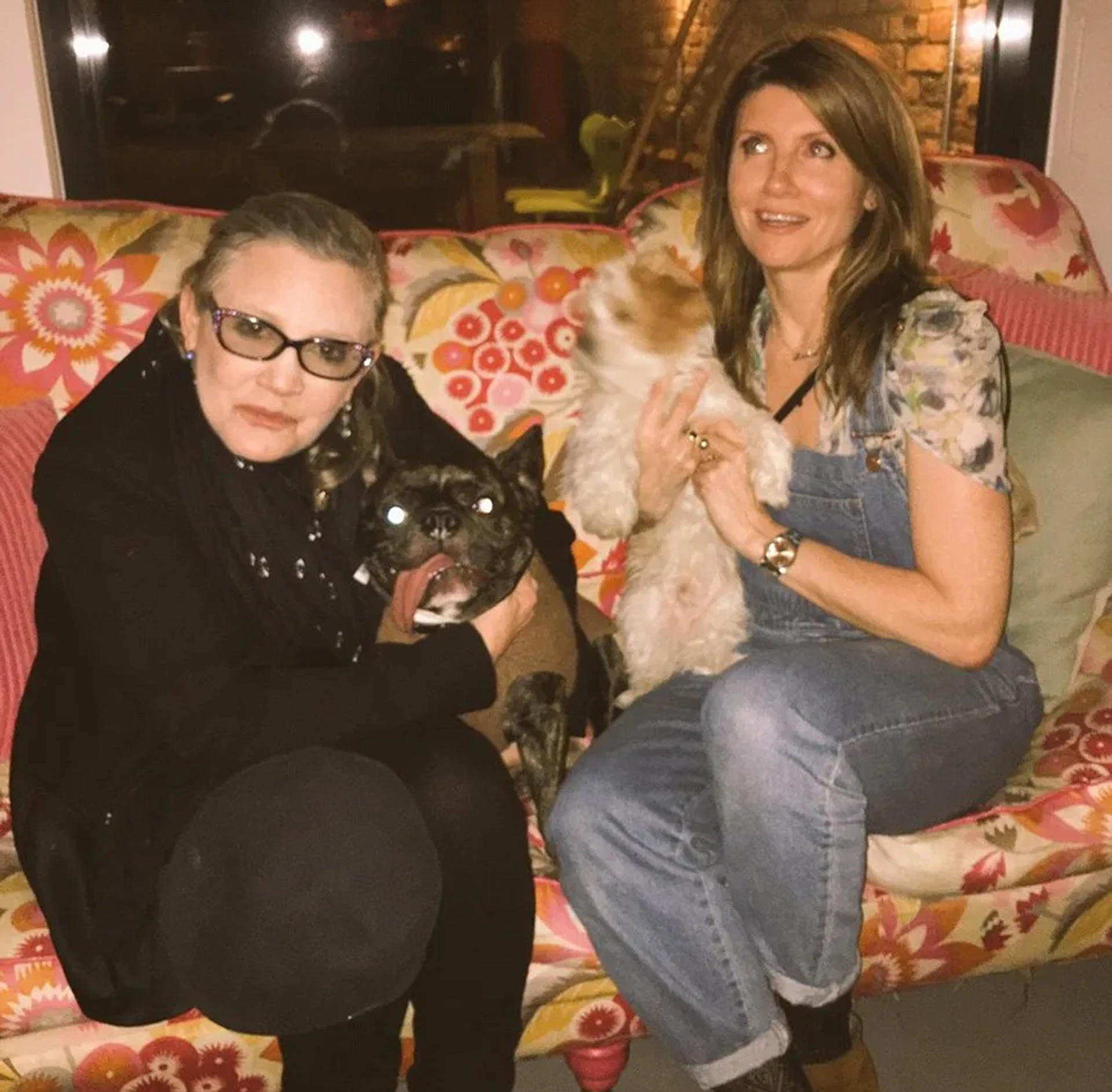 Carrie Fisher, Sharon Horgan, and Gary the Dog in Catastrophe (2015)