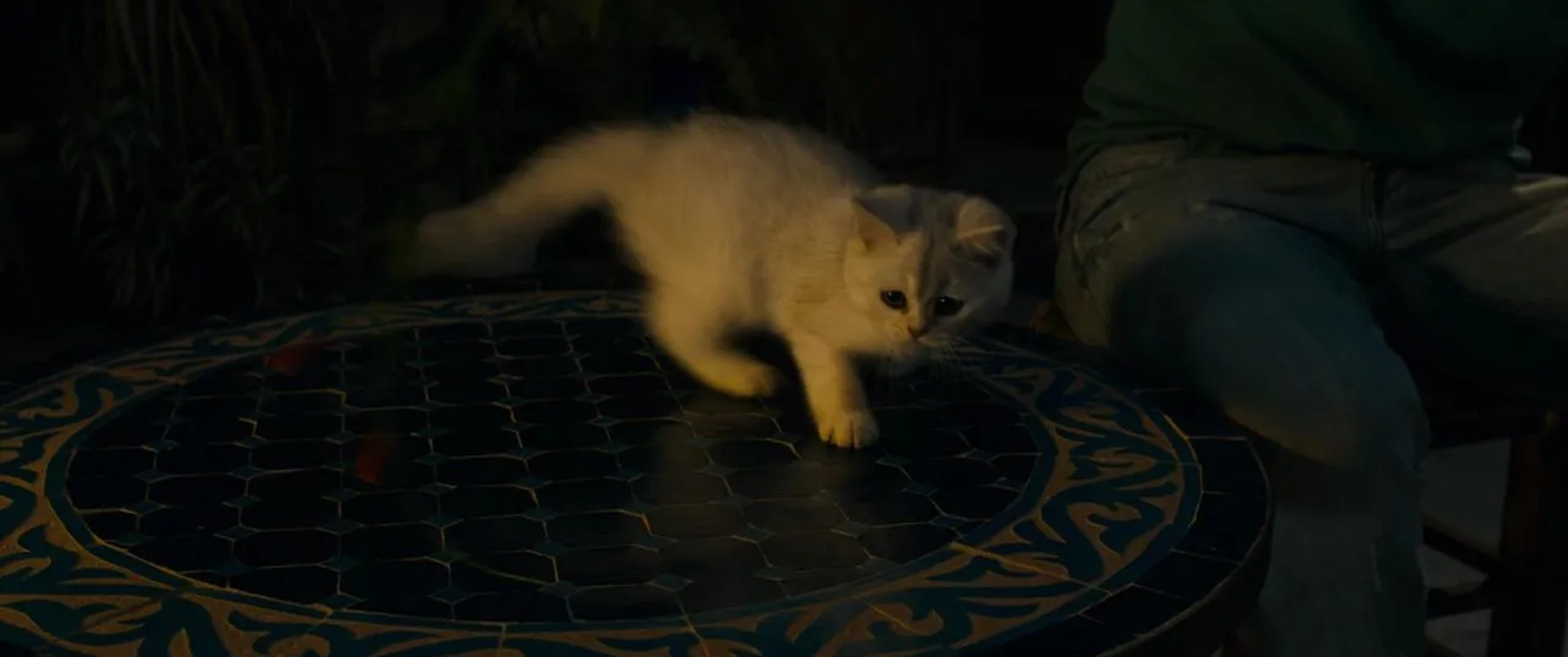 فیلم عمر (Omar 2013)