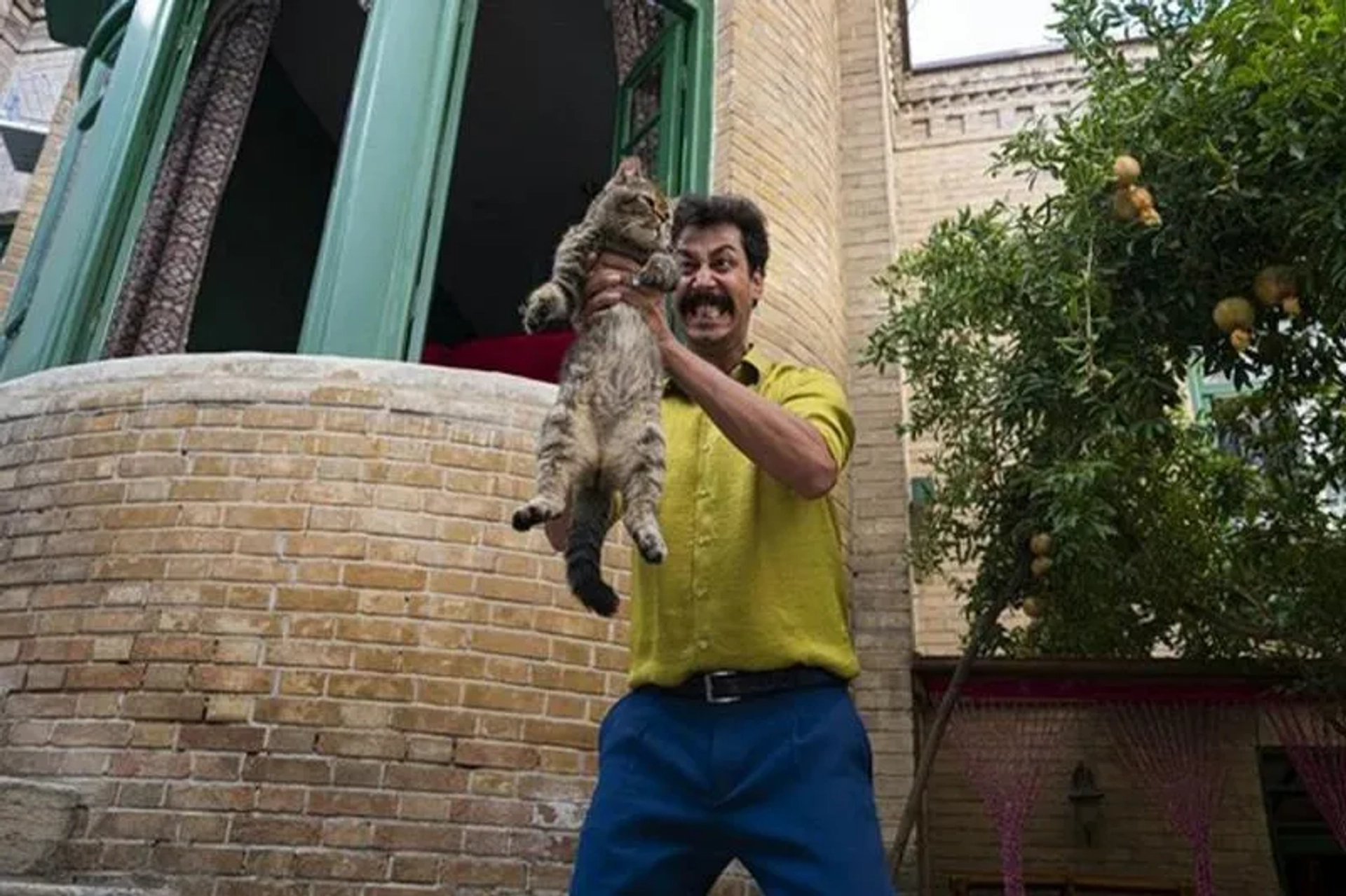 فیلم سال گربه 1402