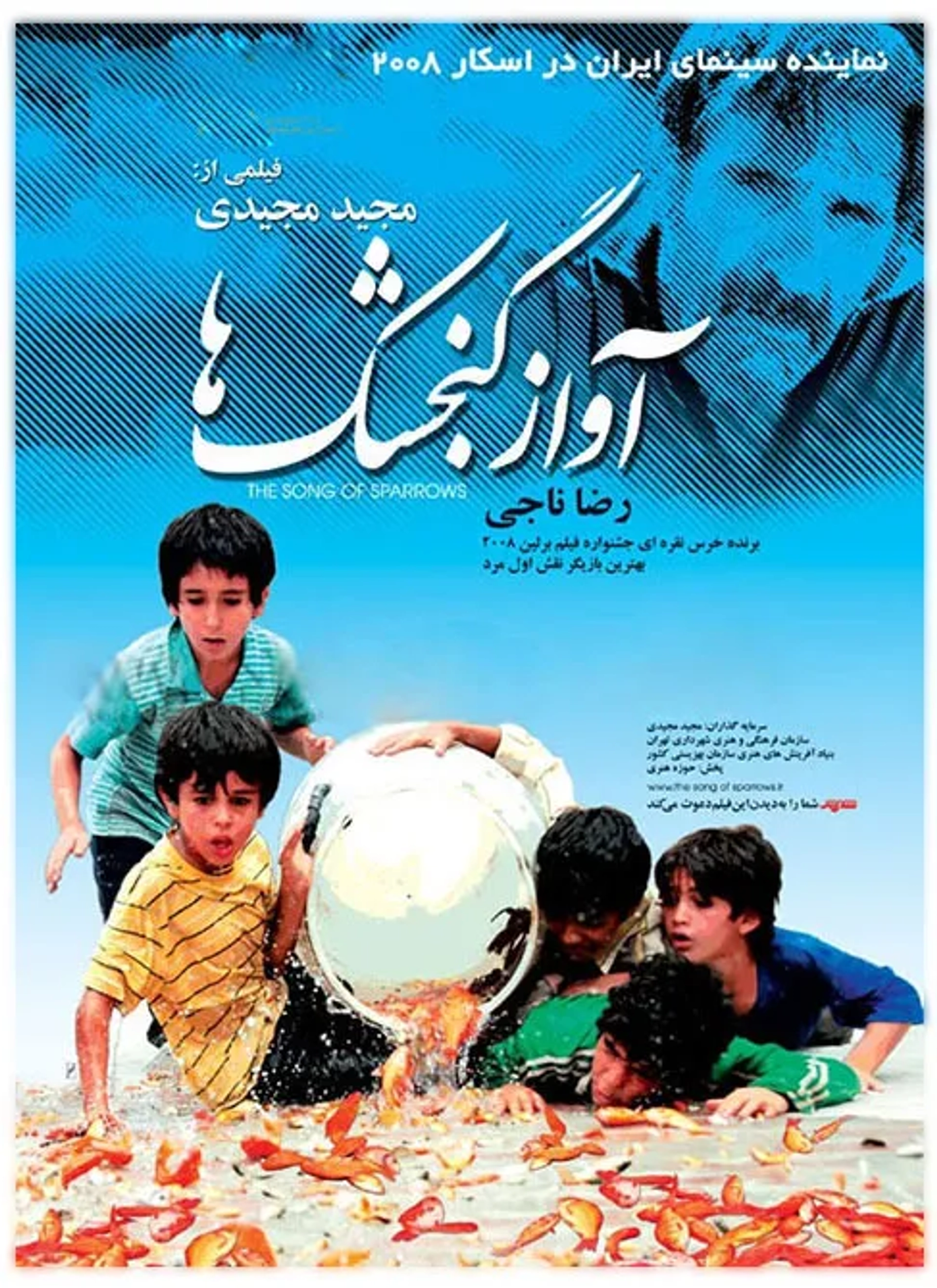 آواز گنجشک‌ ها
