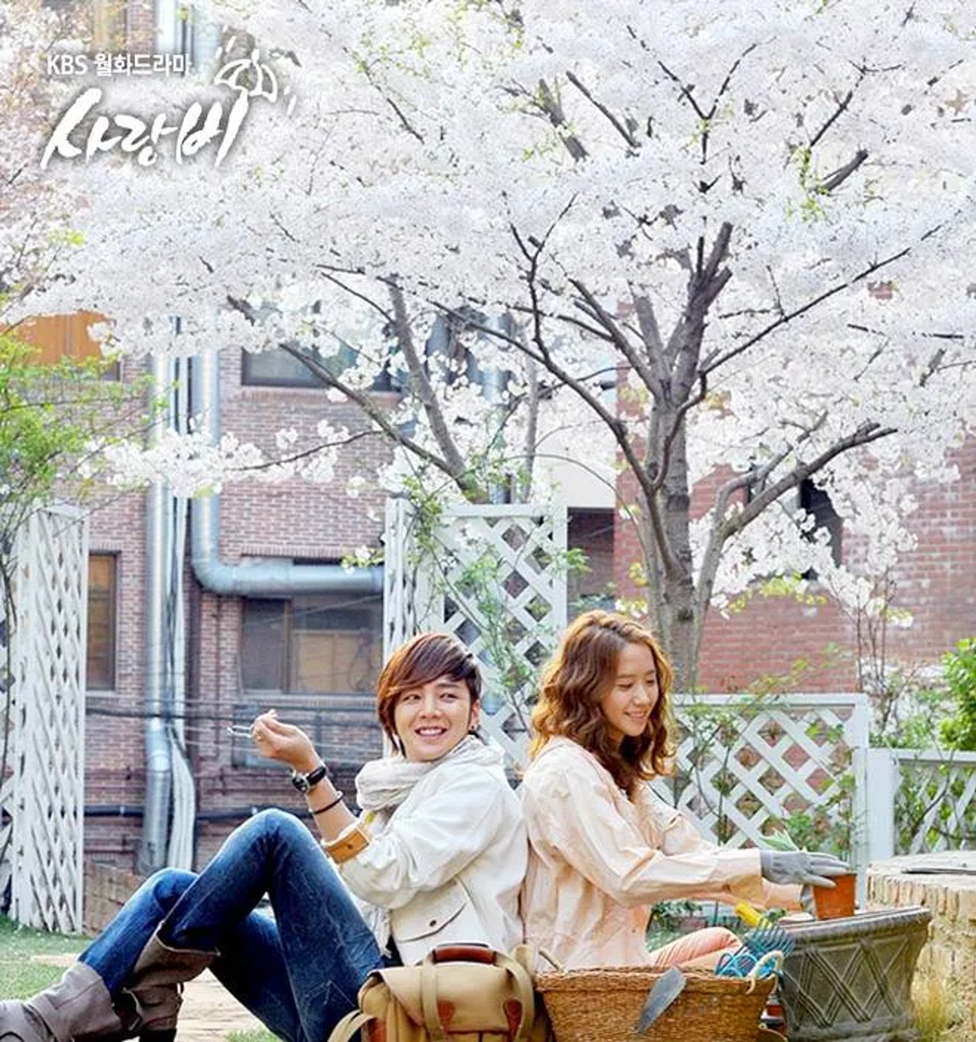 Jang Keun-suk and Im Yoon-ah in Love Rain (2012)