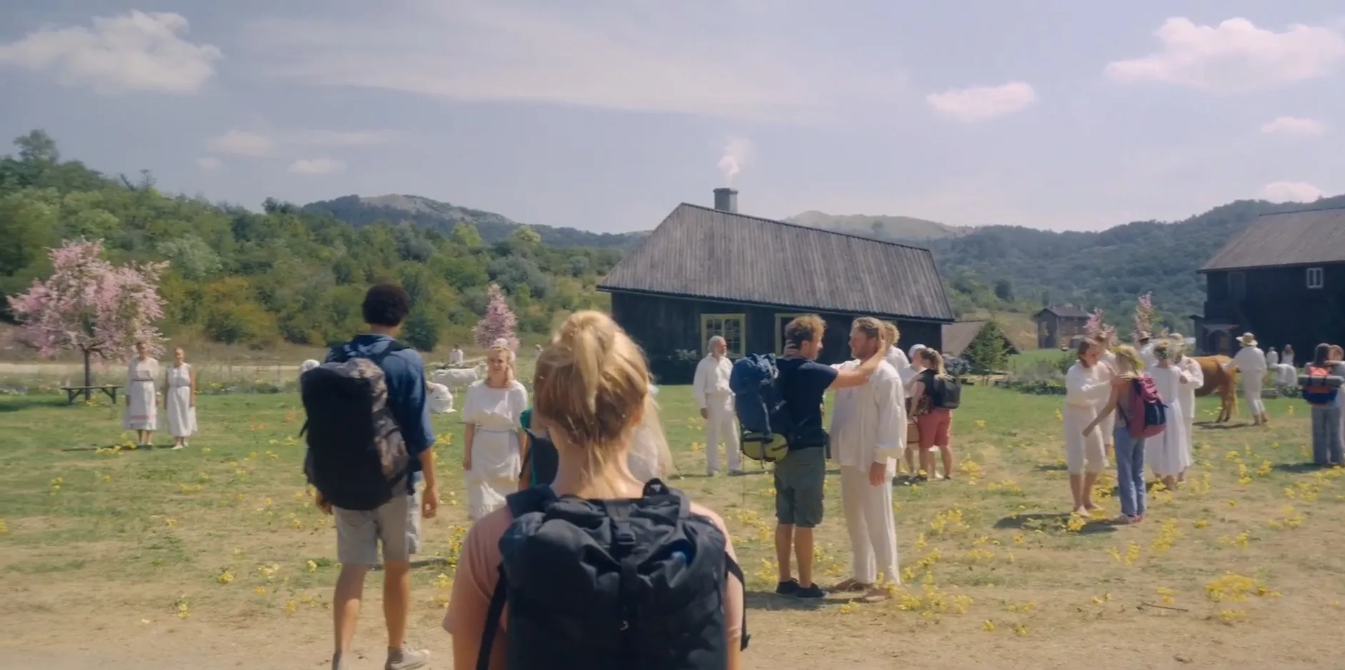 Florence Pugh and Vilhelm Blomgren in Midsommar (2019)