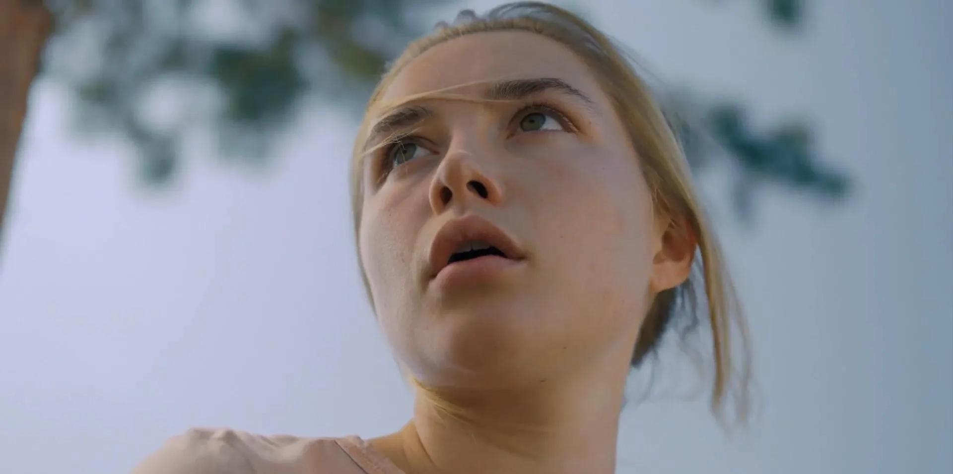 Florence Pugh in Midsommar (2019)