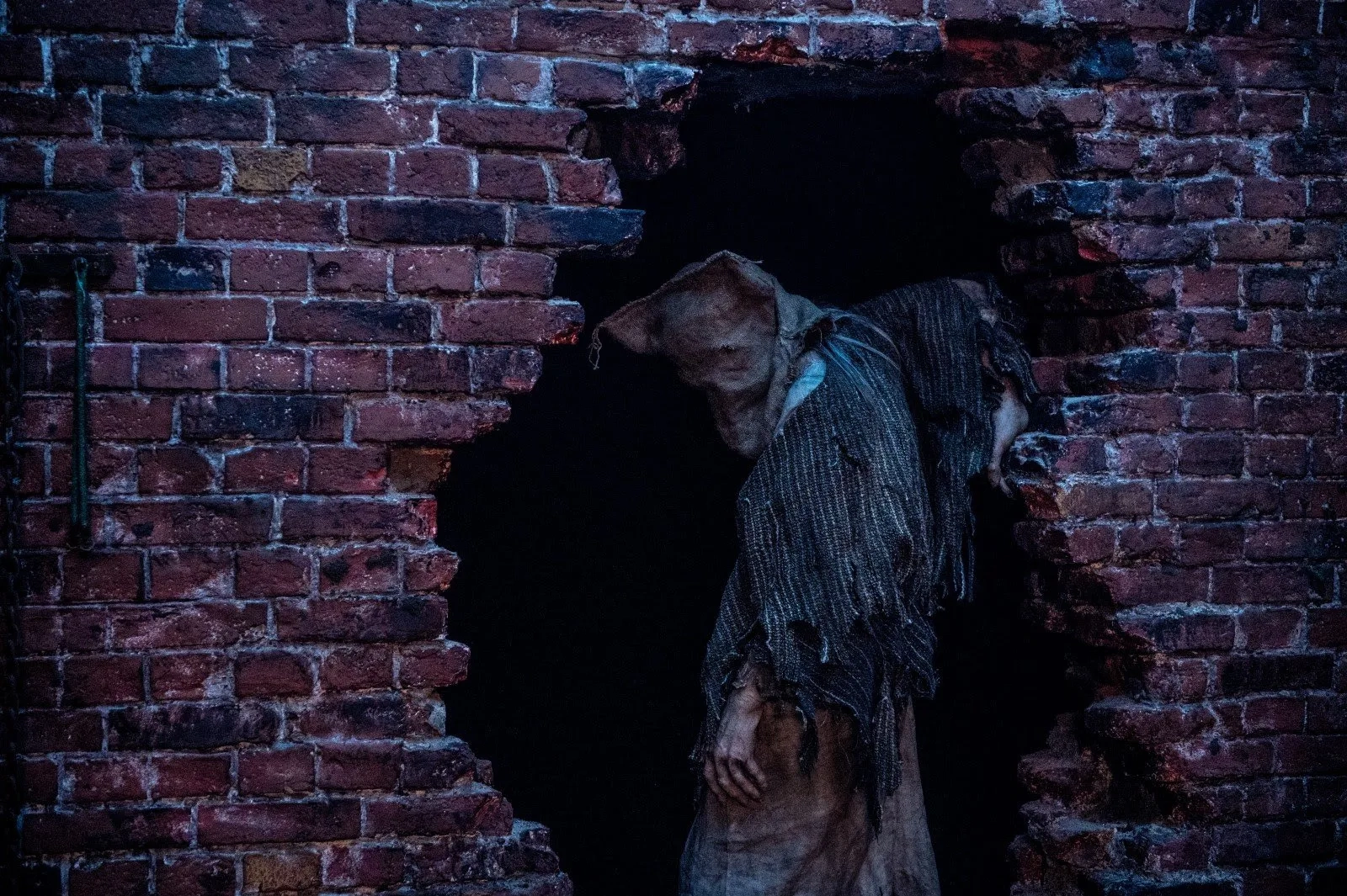 Anne Müller in Baghead (2023)