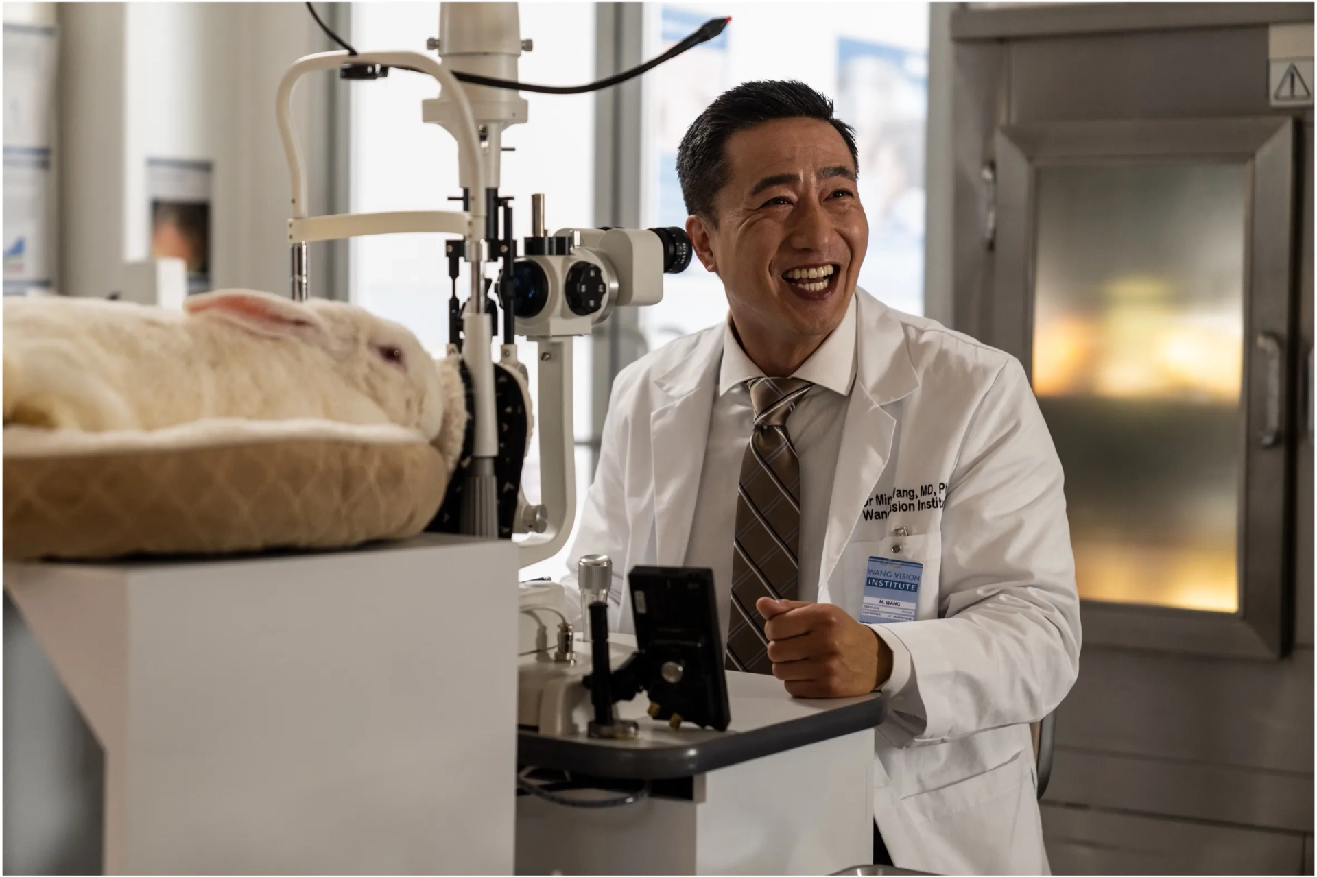 Terry Chen in Sight (2023)