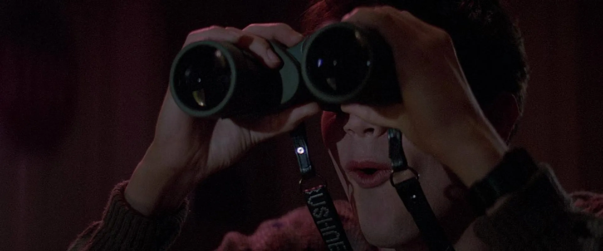William Ragsdale in Fright Night (1985)