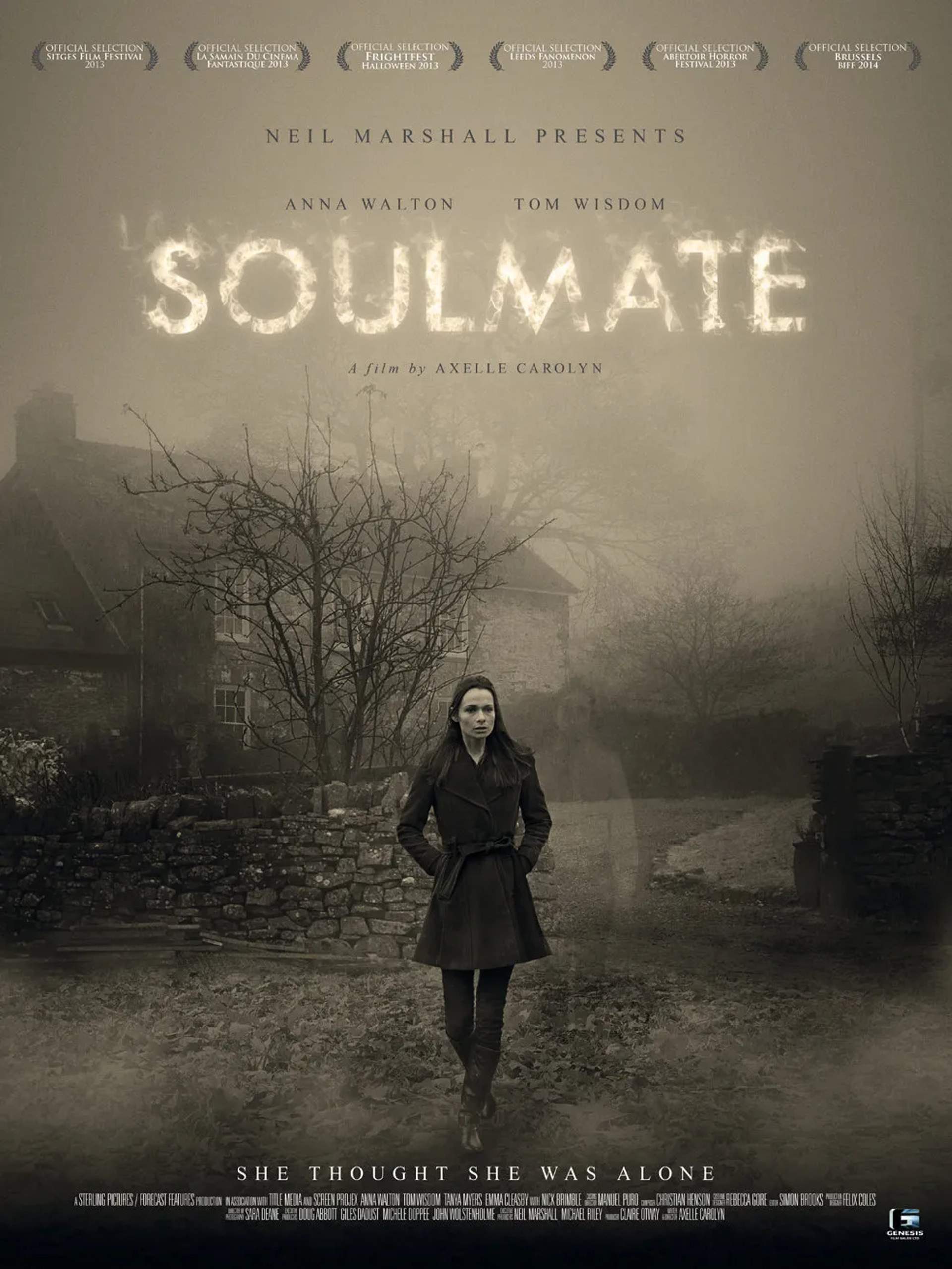 فیلم همزاد (Soulmate 2013)
