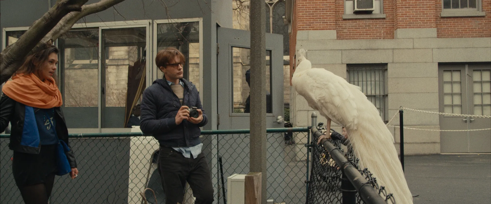 Michael Pitt and Astrid Bergès-Frisbey in I Origins (2014)