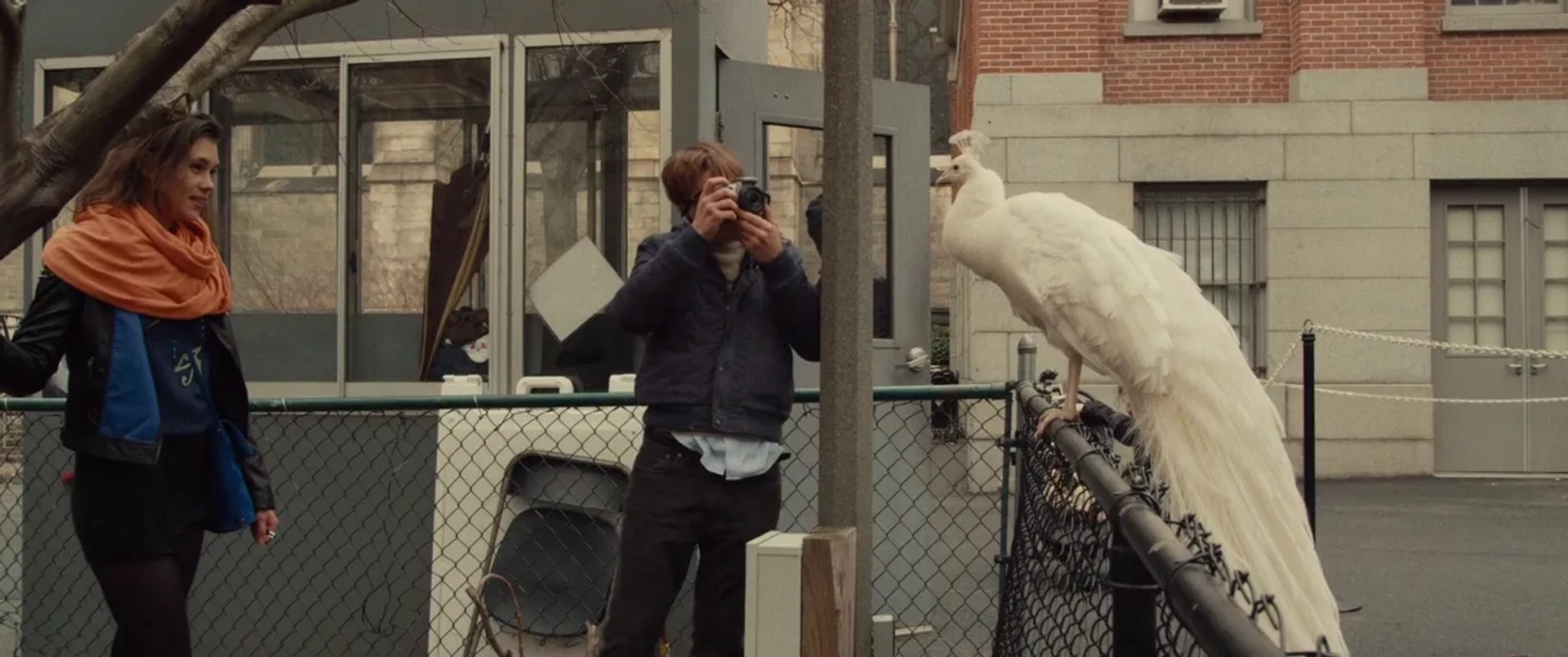 Michael Pitt and Astrid Bergès-Frisbey in I Origins (2014)