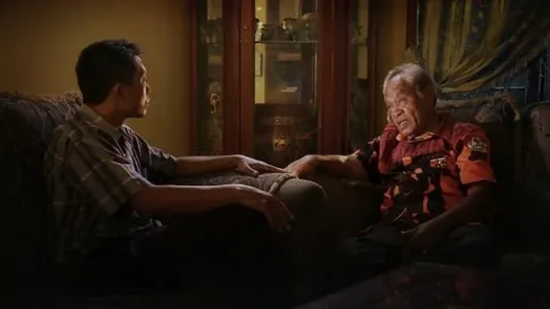 مستند چهره سکوت (The Look of Silence 2014)