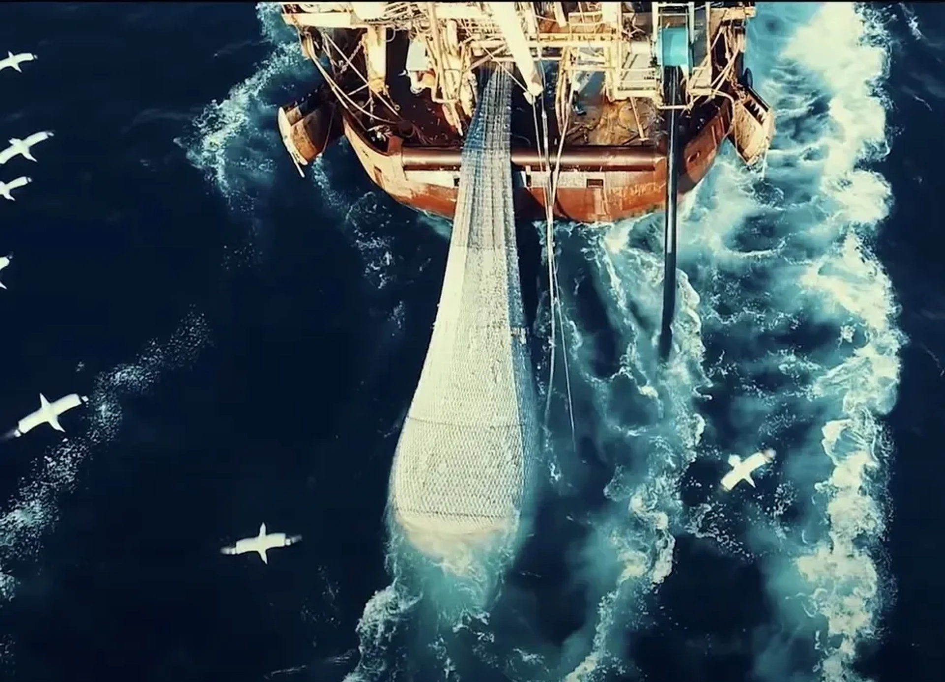 مستند دریانوردی (Seaspiracy 2021)