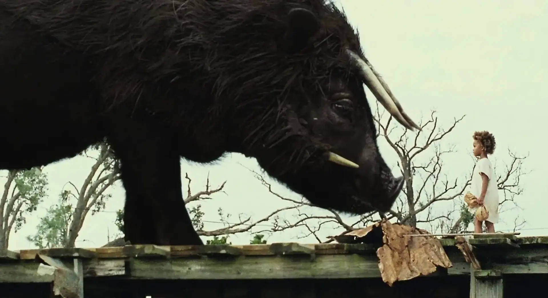 فیلم جانوران حیات وحش جنوب (Beasts of the Southern Wild 2012)