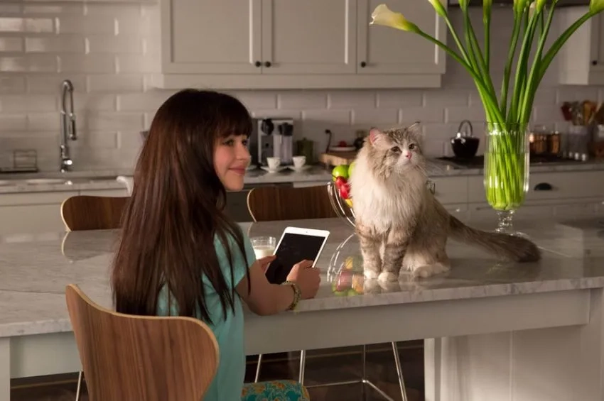 Malina Pauli Weissman in Nine Lives (2016)