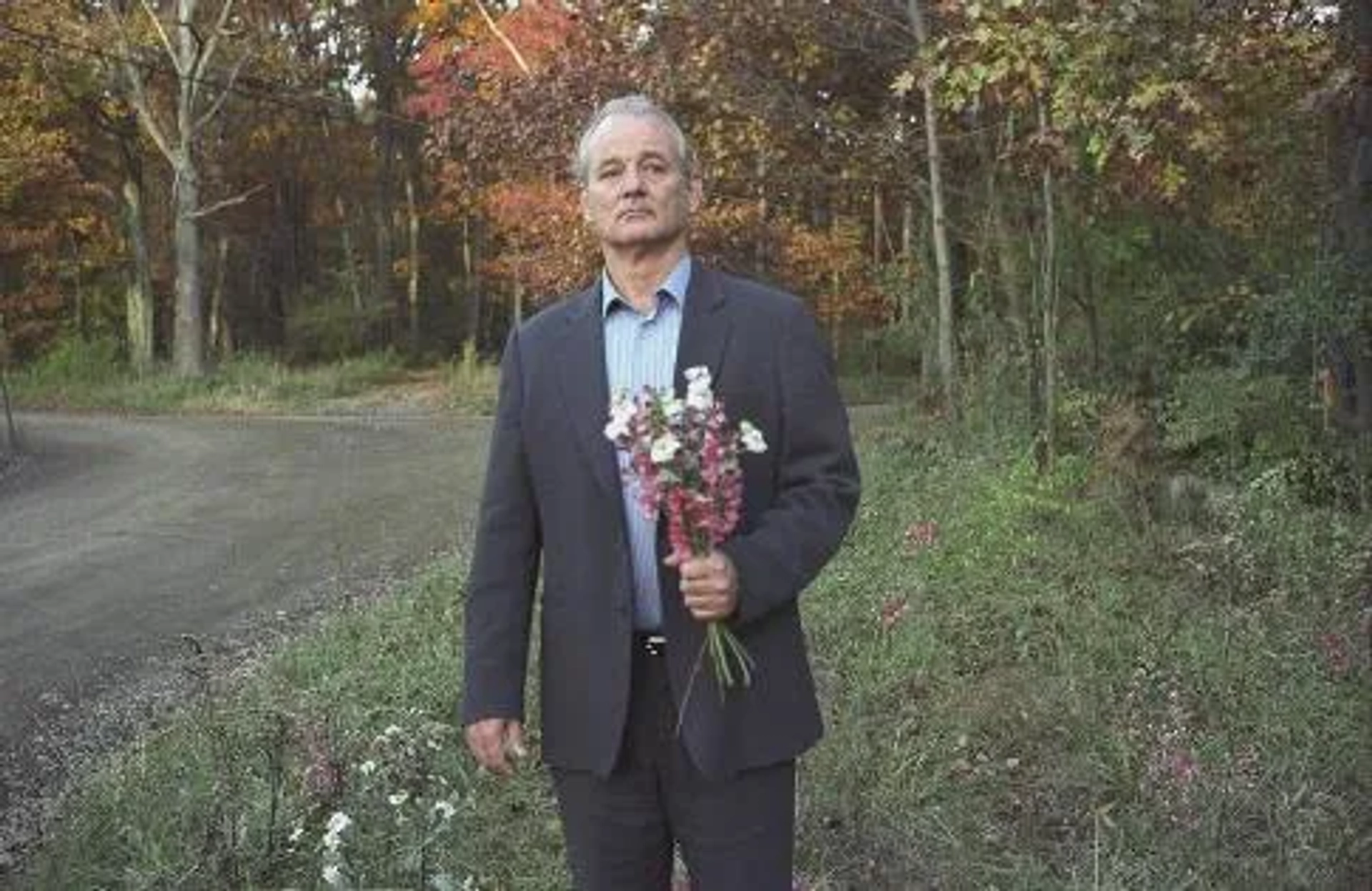 Bill Murray in Broken Flowers (2005)