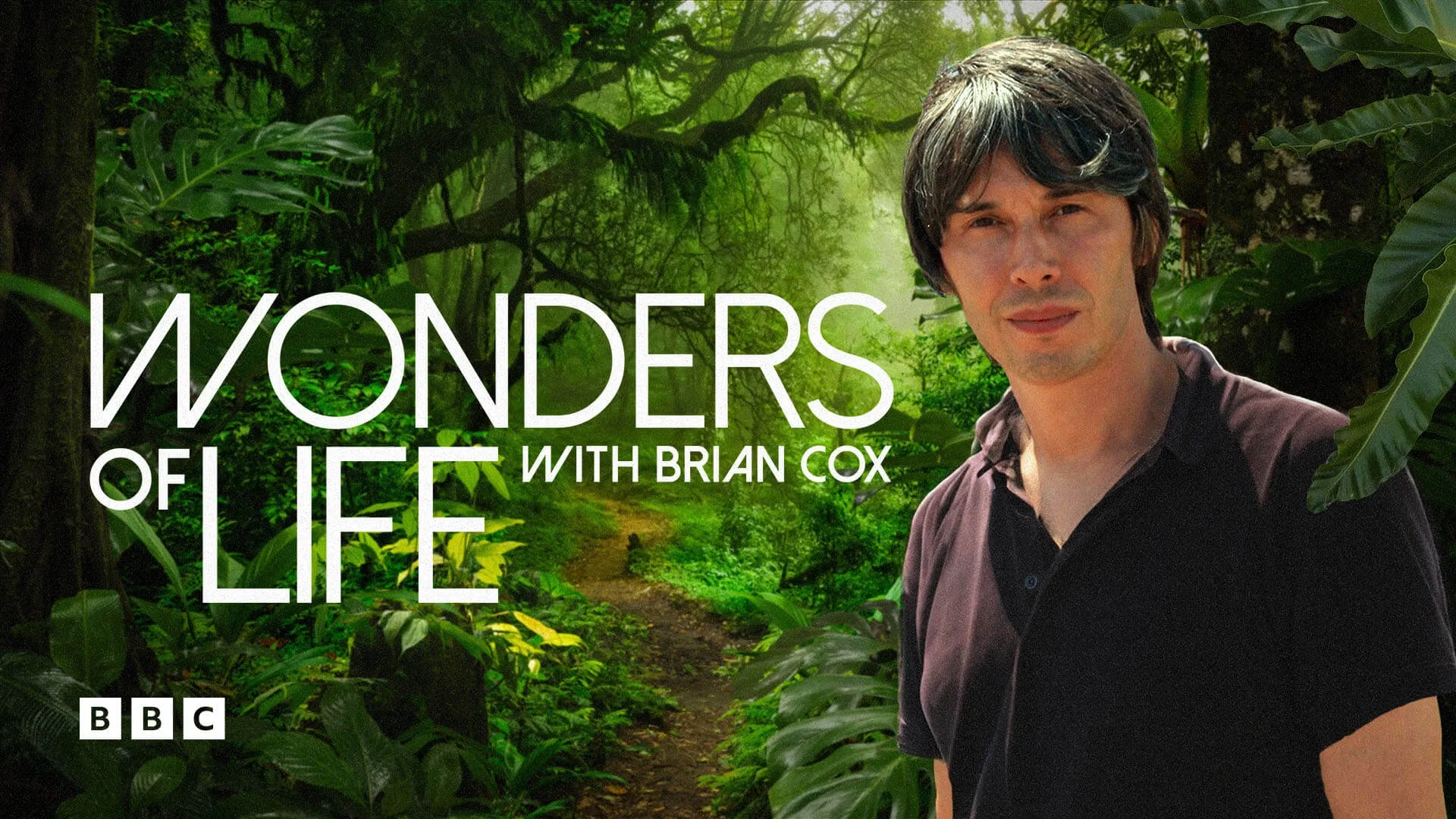 مستند عجایب زندگی (Wonders of Life 2013)