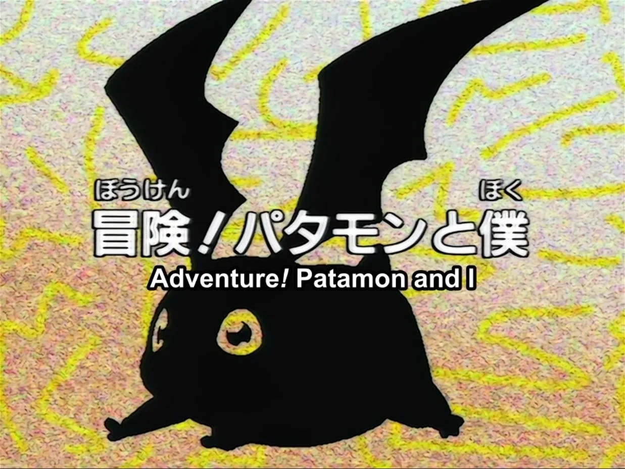 Miwa Matsumoto in Digimon Adventure (1999)