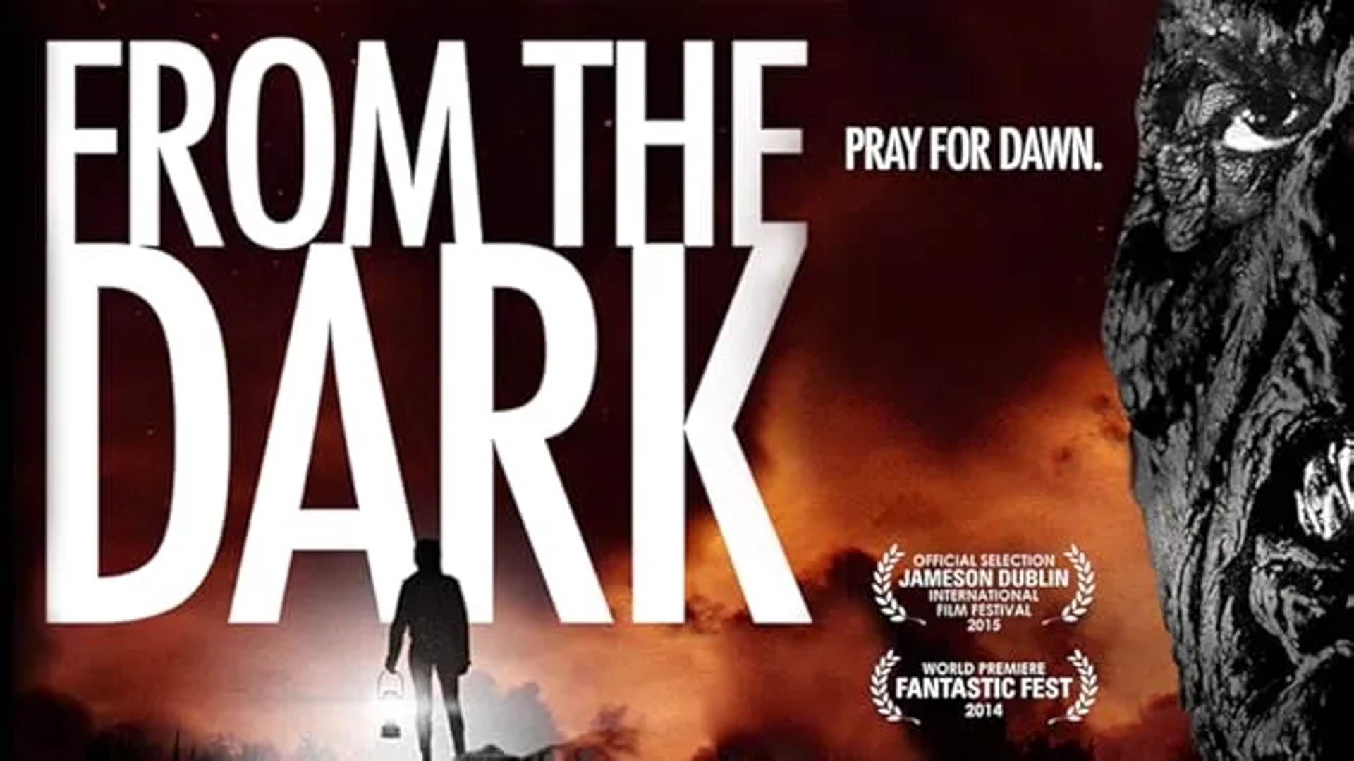 فیلم از تاریکی (From The Dark 2014)