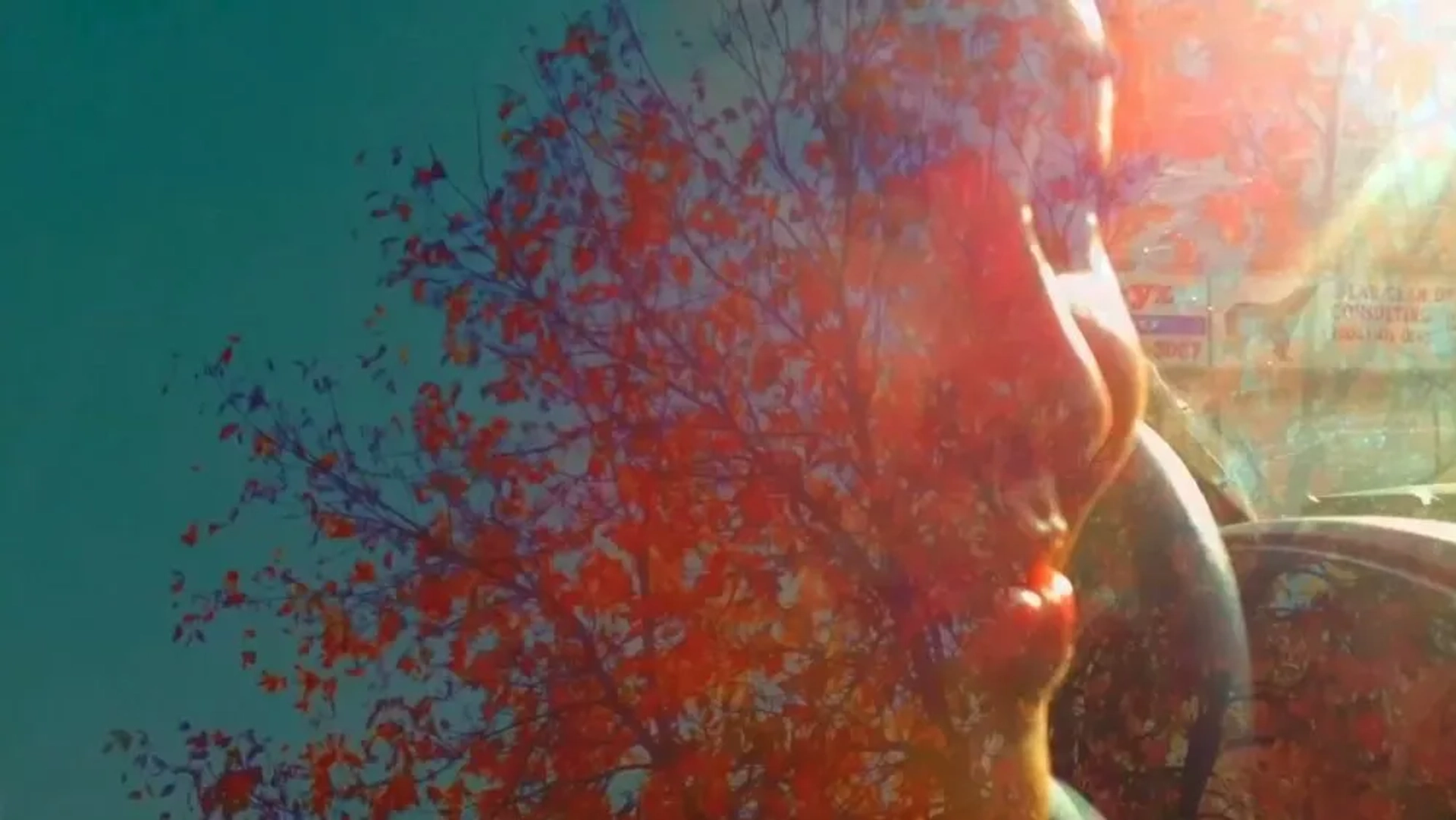 مستند 88:88 (2015)