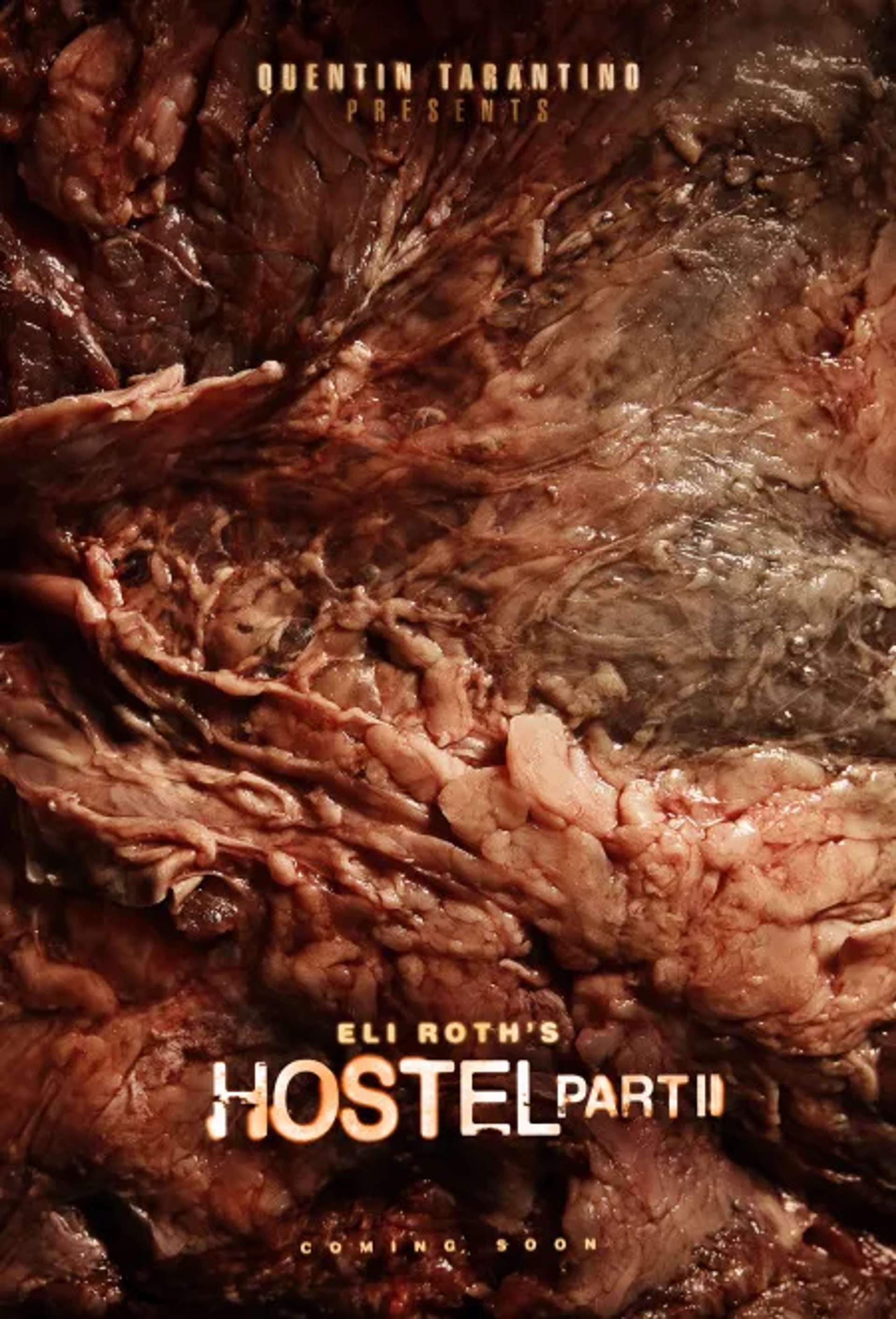 فیلم مسافرخانه: قسمت ۲ (Hostel: Part II 2007)