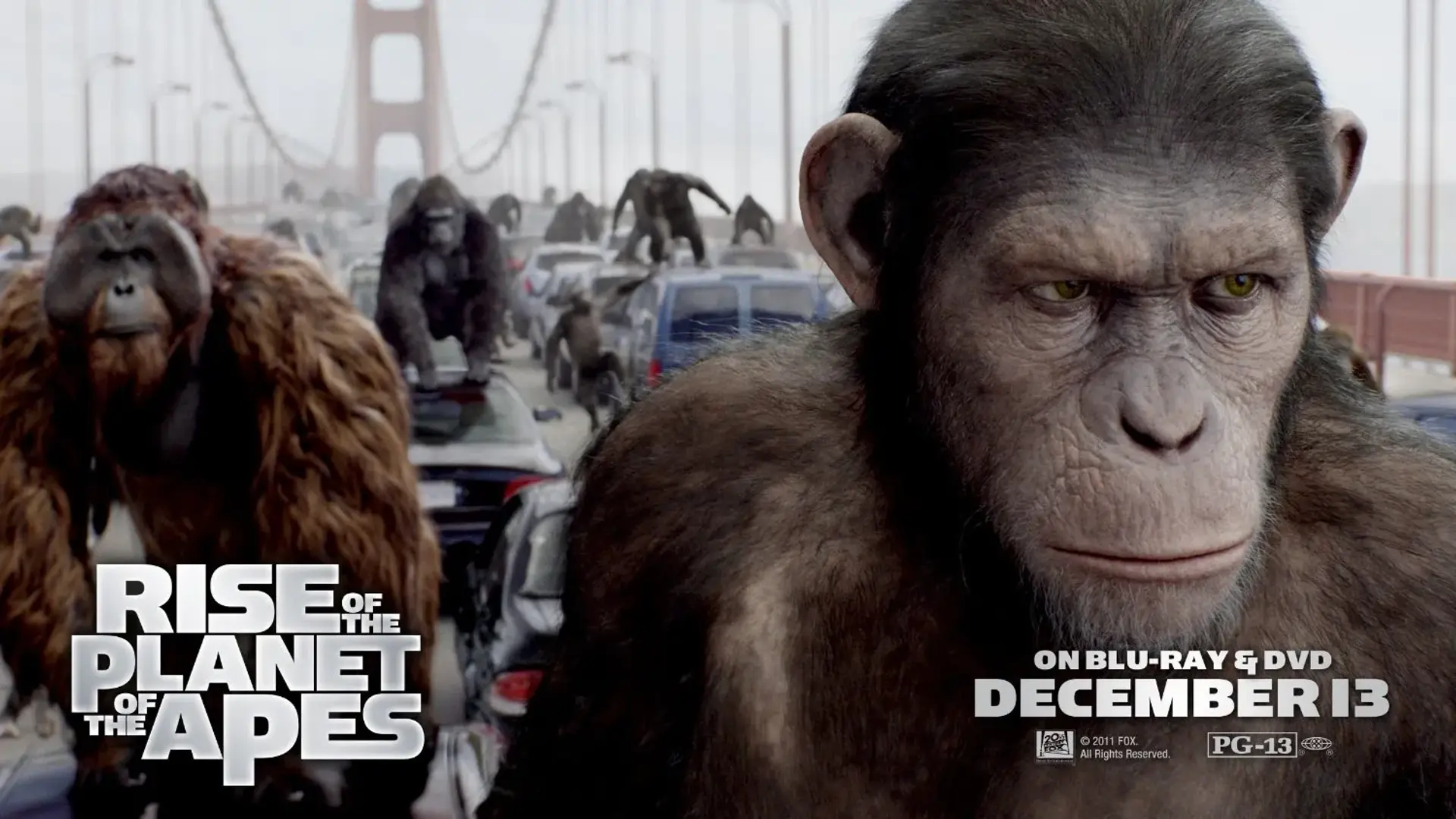 فیلم ظهور سیاره میمون‌ها (Rise of the Planet of the Apes 2011)