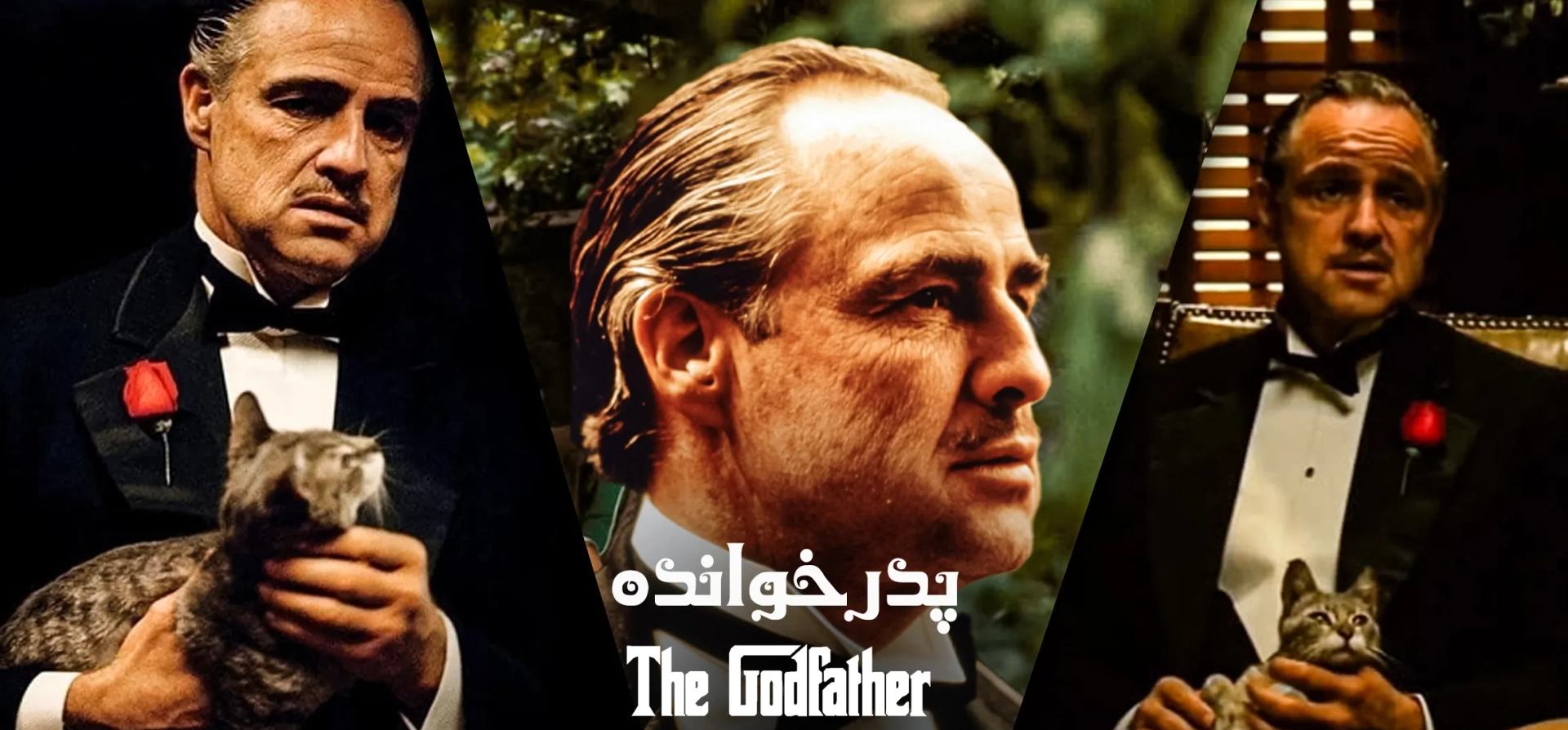 پدر-خوانده