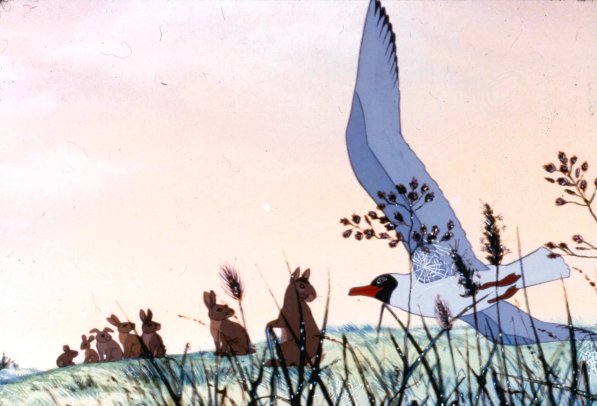 انیمیشن تپه خرگوش ها (Watership Down 1978)