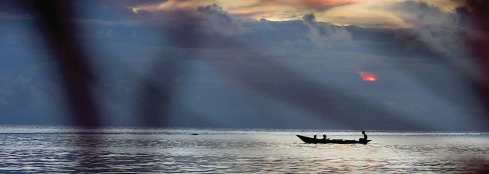 مستند خورشید طلوع می کند (sun come up 2011)