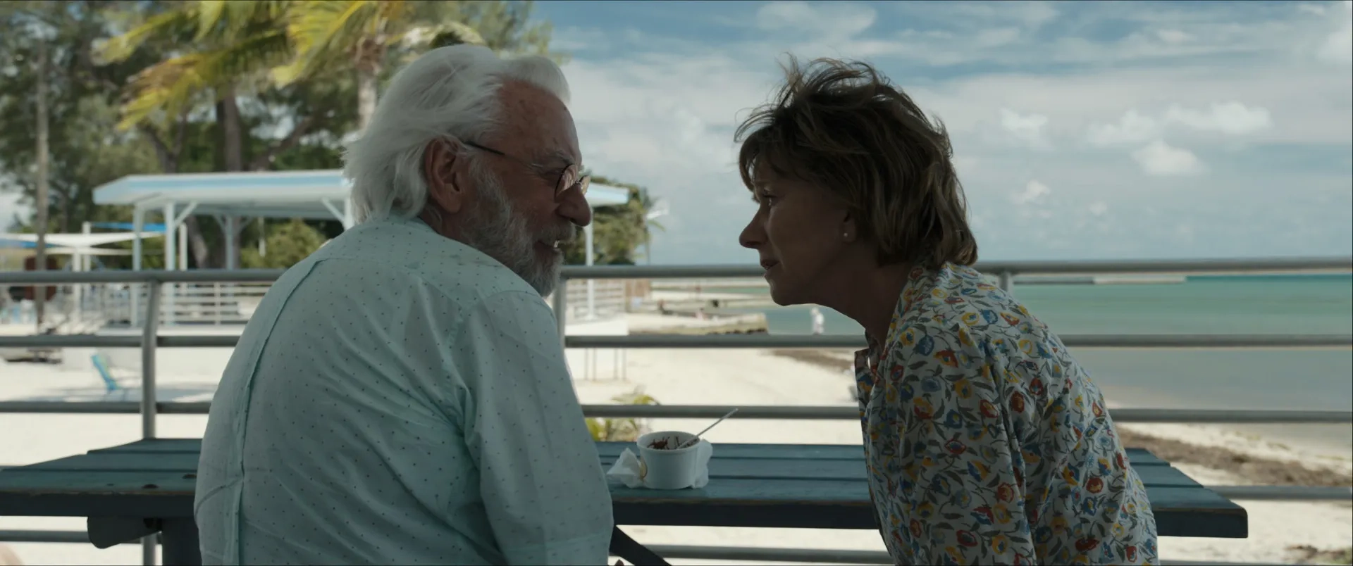 فیلم جستجوگر اوقات فراغت (The Leisure Seeker 2017)