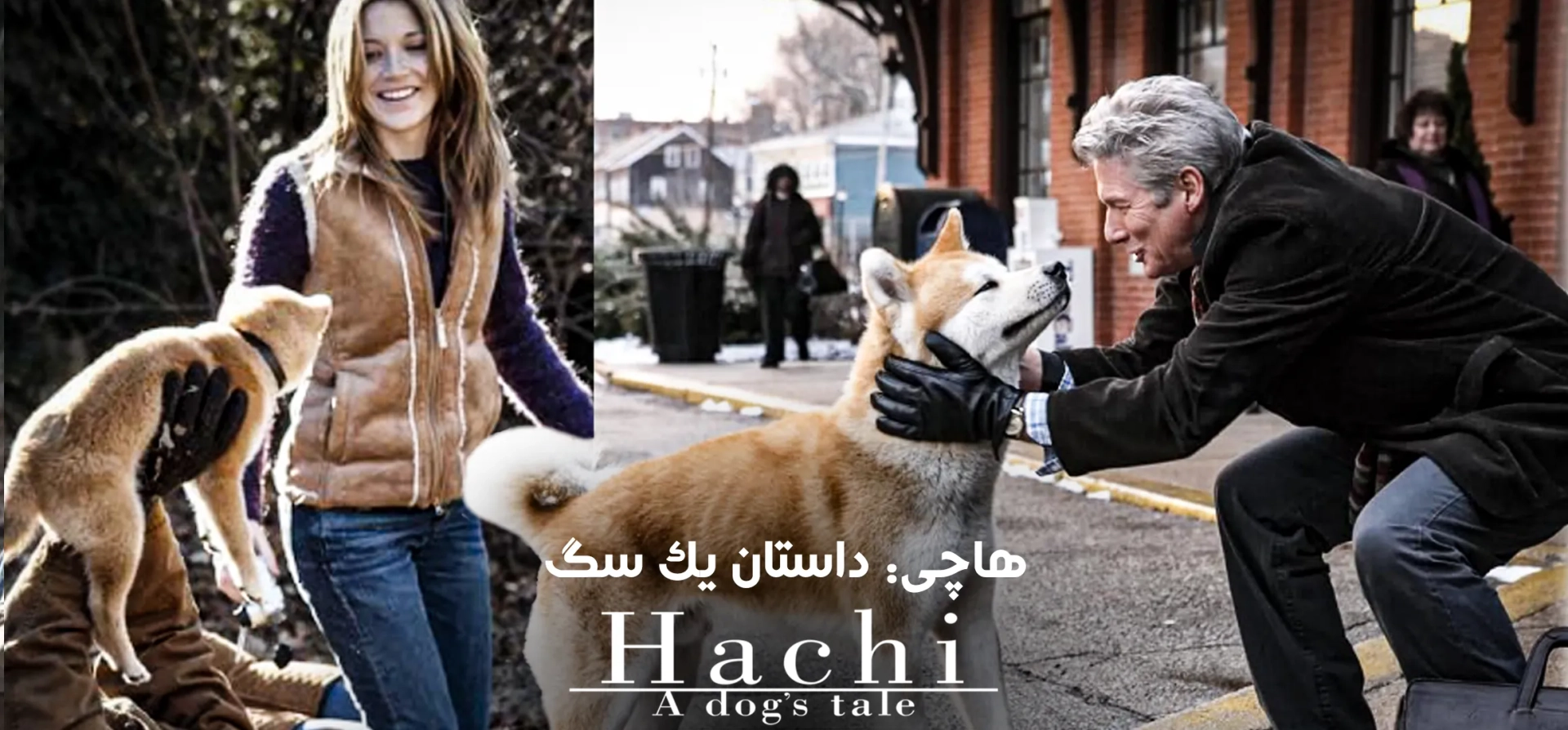 هاچی-داستان-یک-سگ