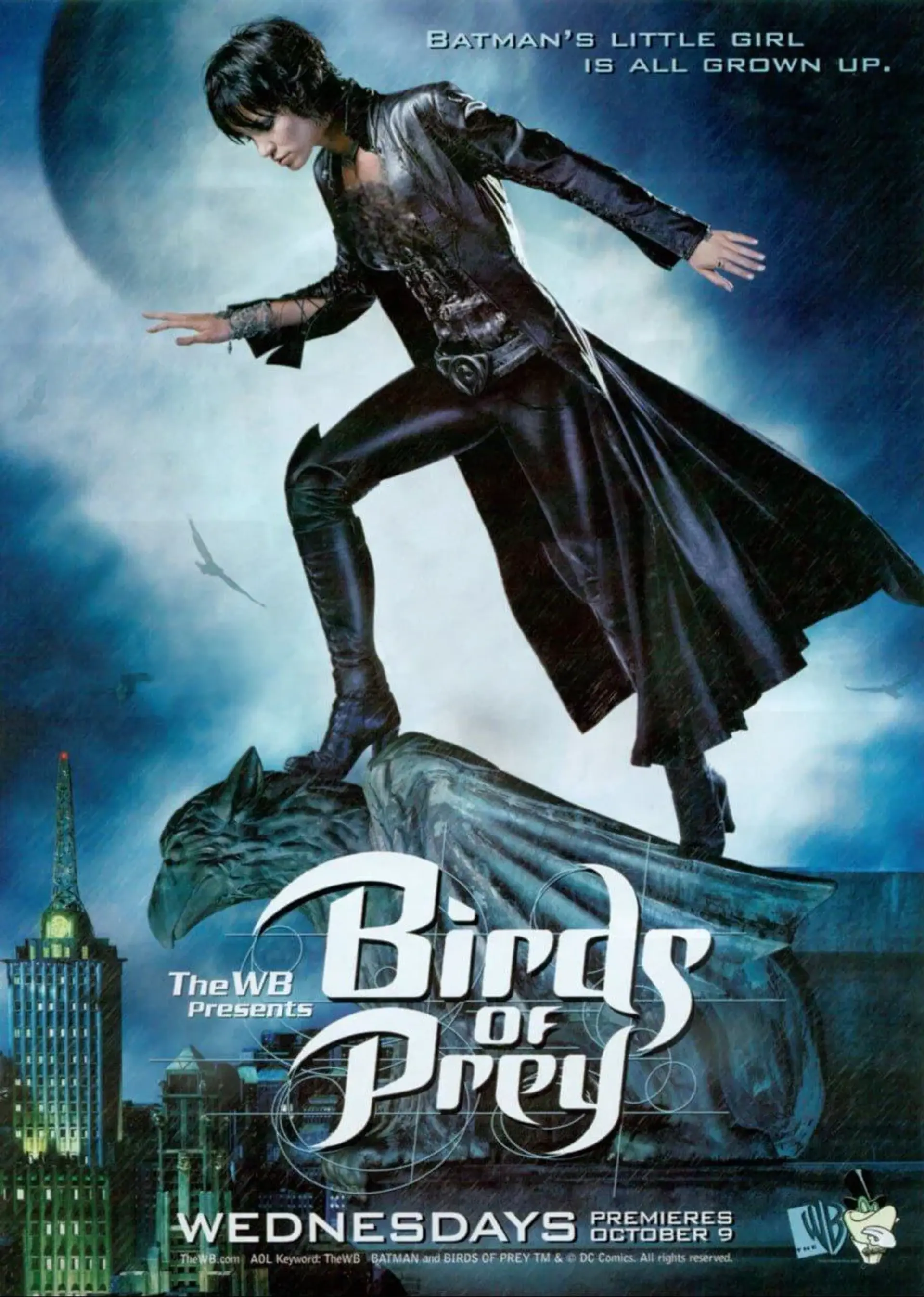 سریال پرندگان شکاری (Birds of Prey 2002)