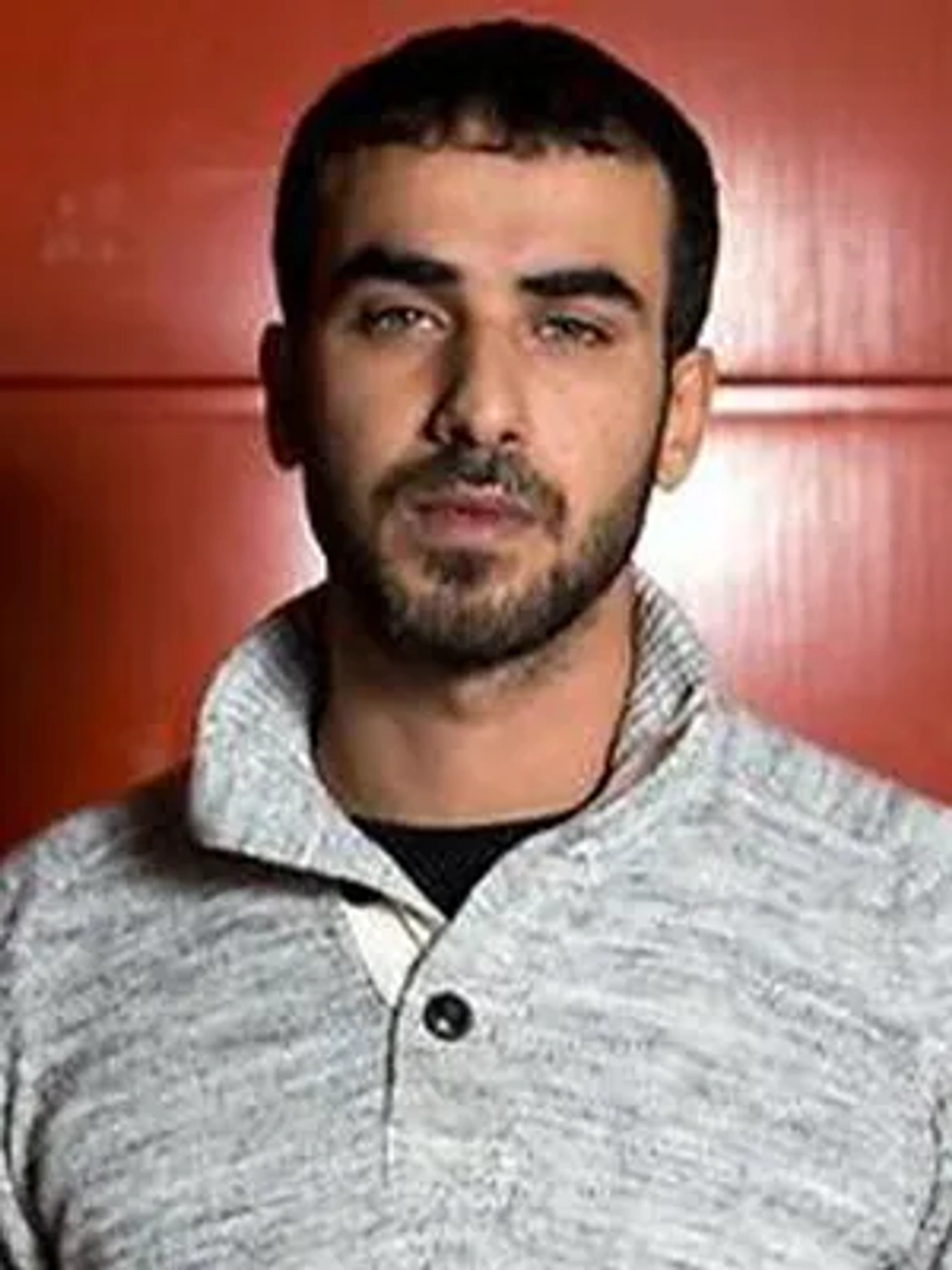 محمود شلبی