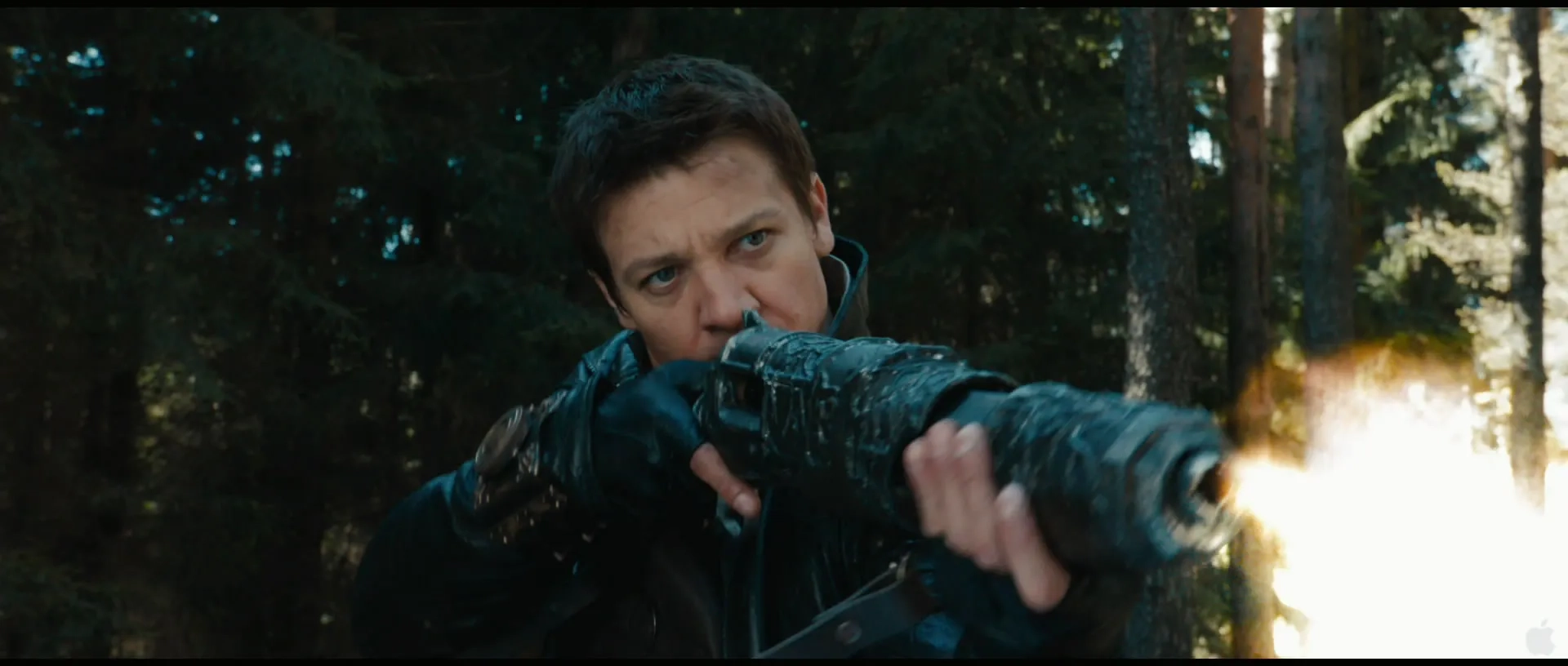 Jeremy Renner in Hansel & Gretel: Witch Hunters (2013)